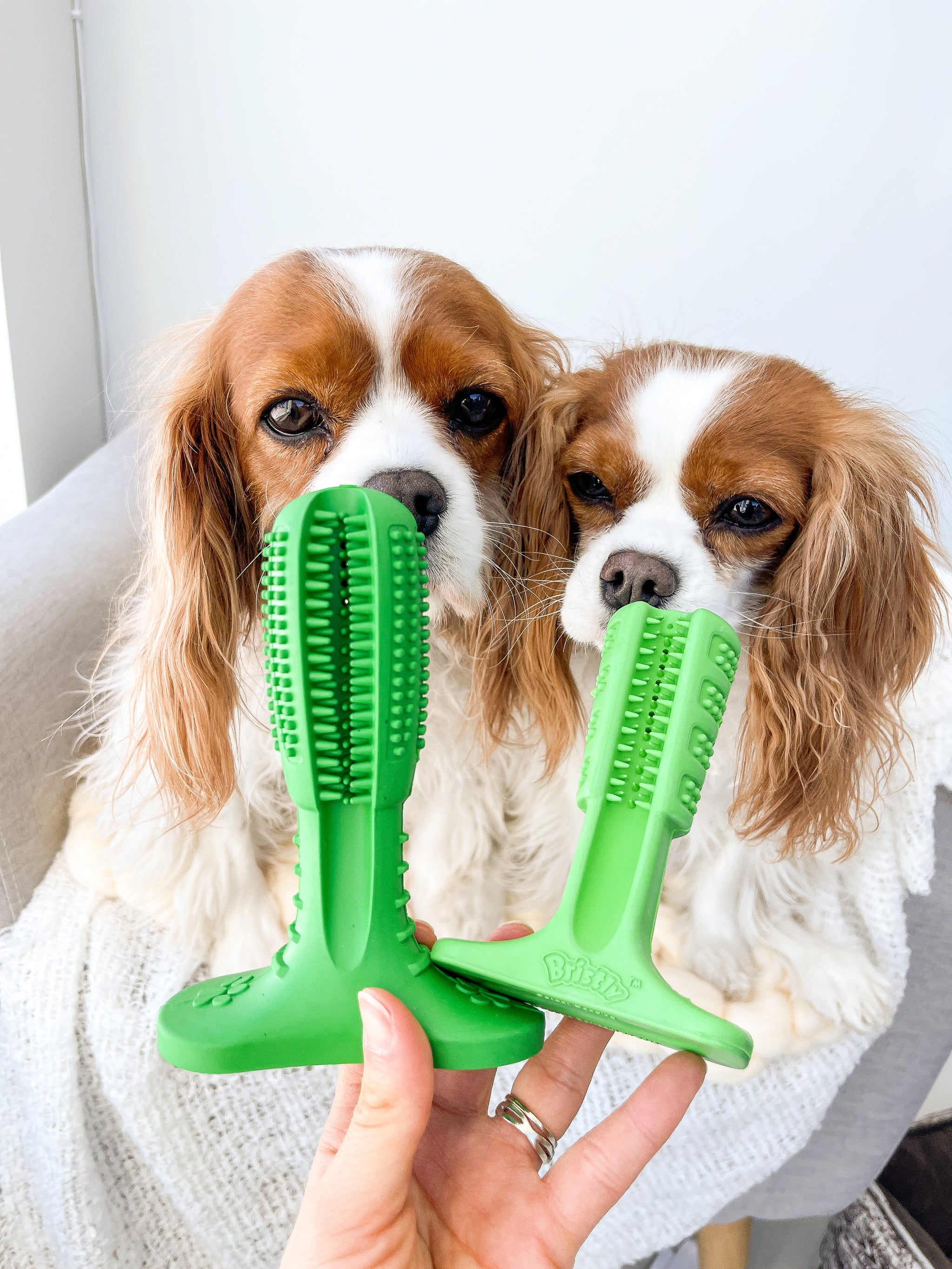 bristly brushing stick reviews