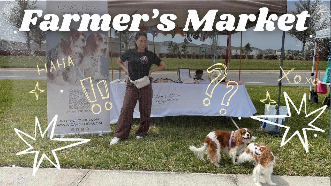 First experience at a Farmer's Market