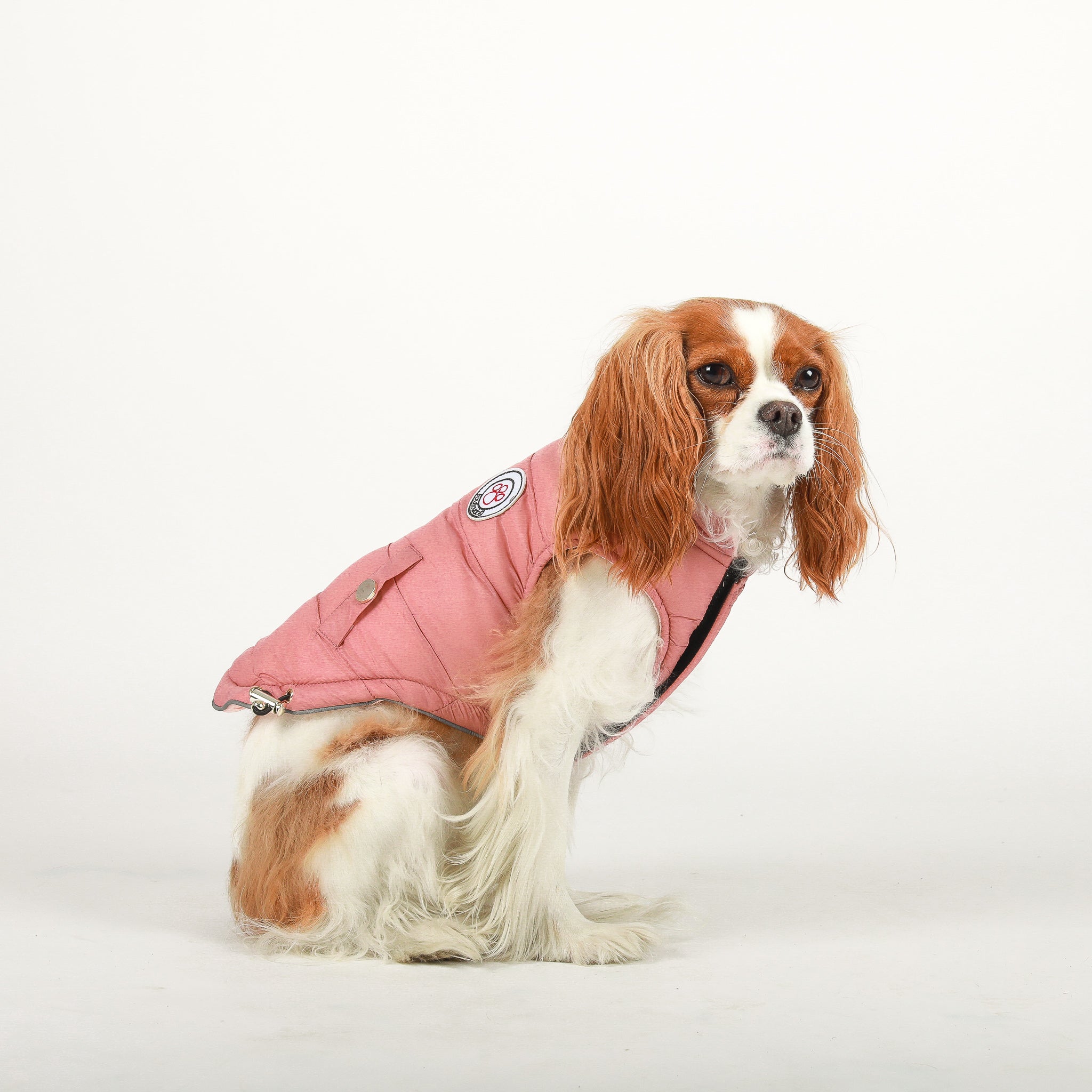 Fall / Winter Apparel