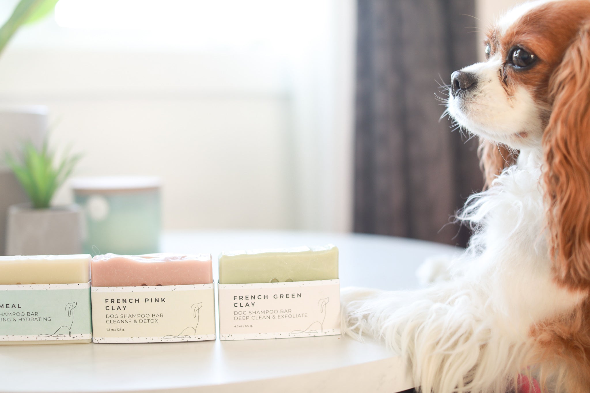 DOG SHAMPOO BARS