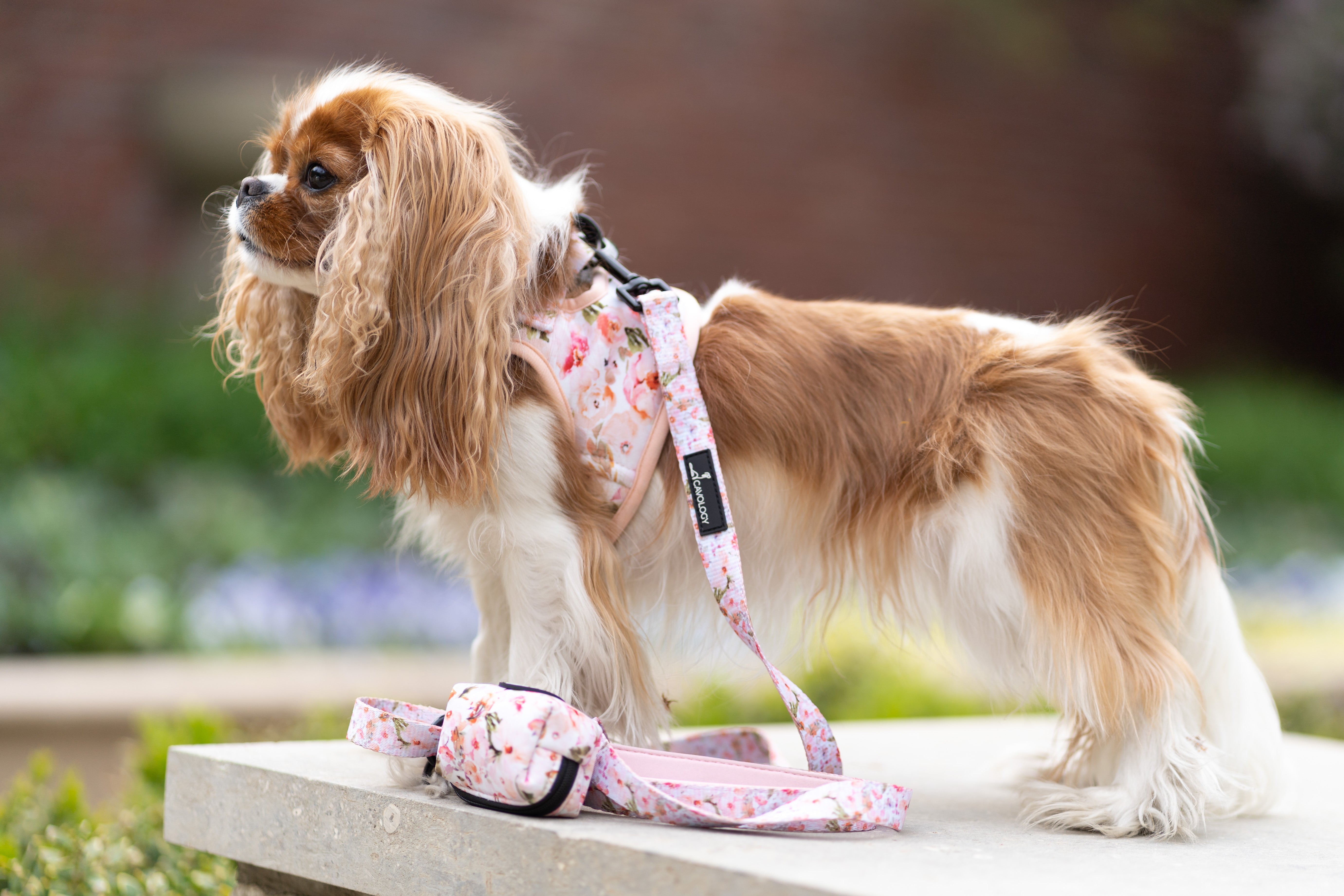 VEST STEP IN HARNESS - Pink Florals Kyoto
