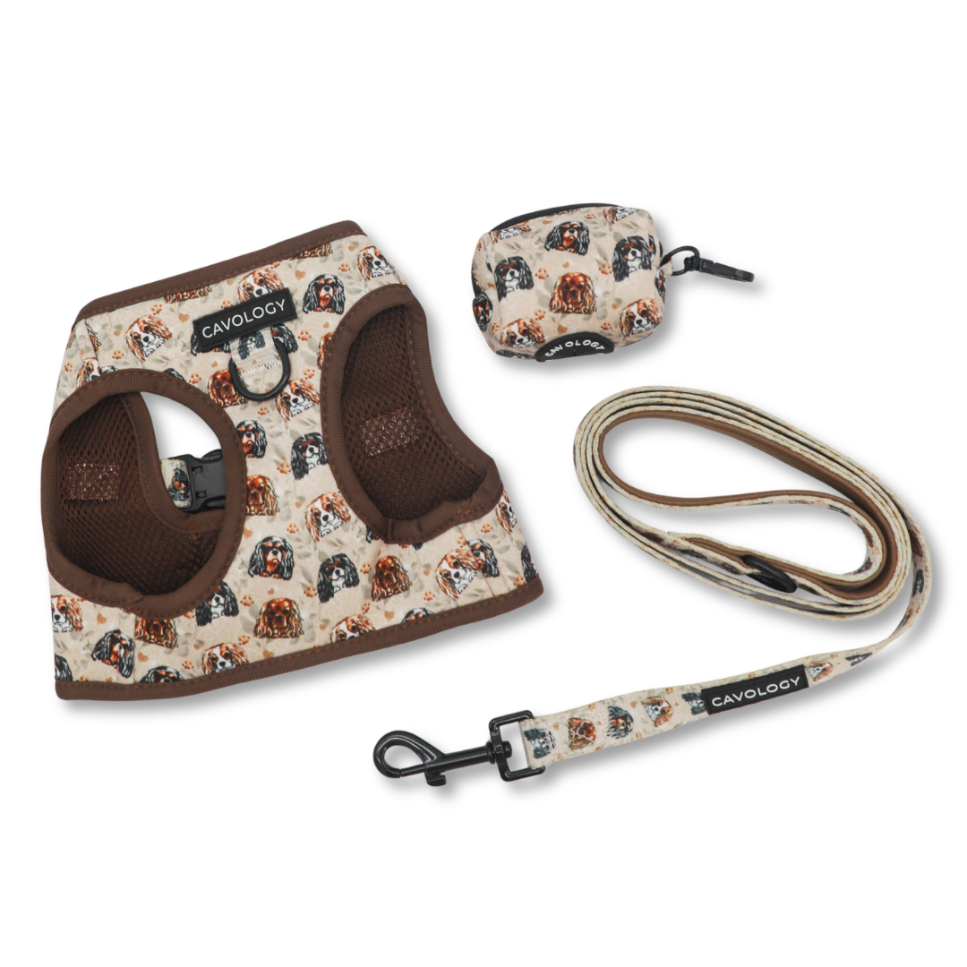 Cavalier King Charles Spaniel Dog Walking Bundle