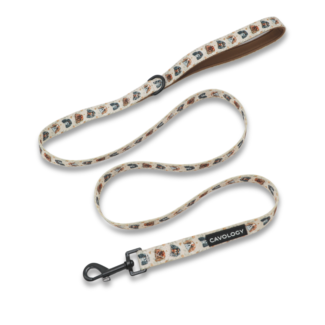 Cavalier King Charles Spaniel Dog Leash