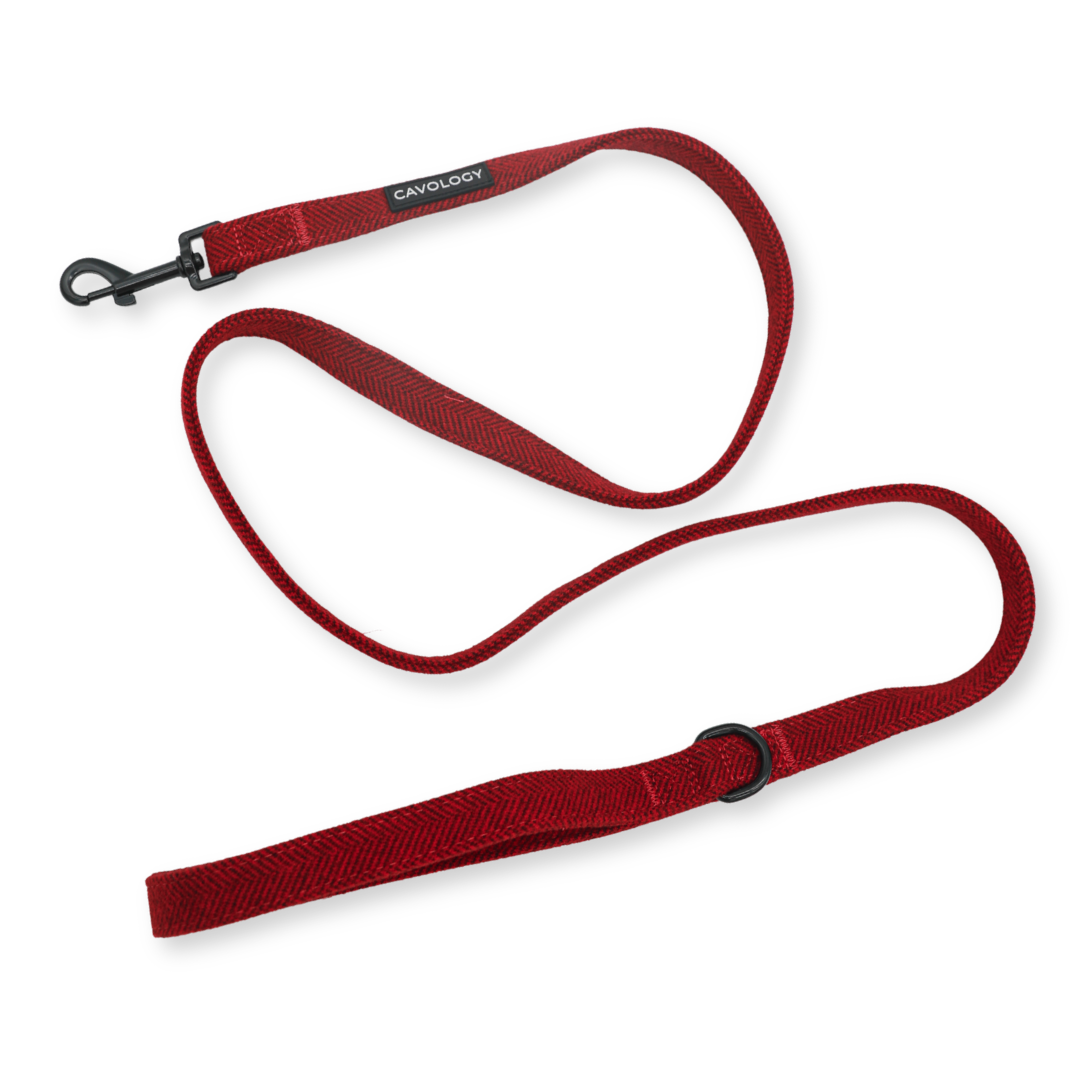 Cranberry Herringbone Dog Leash