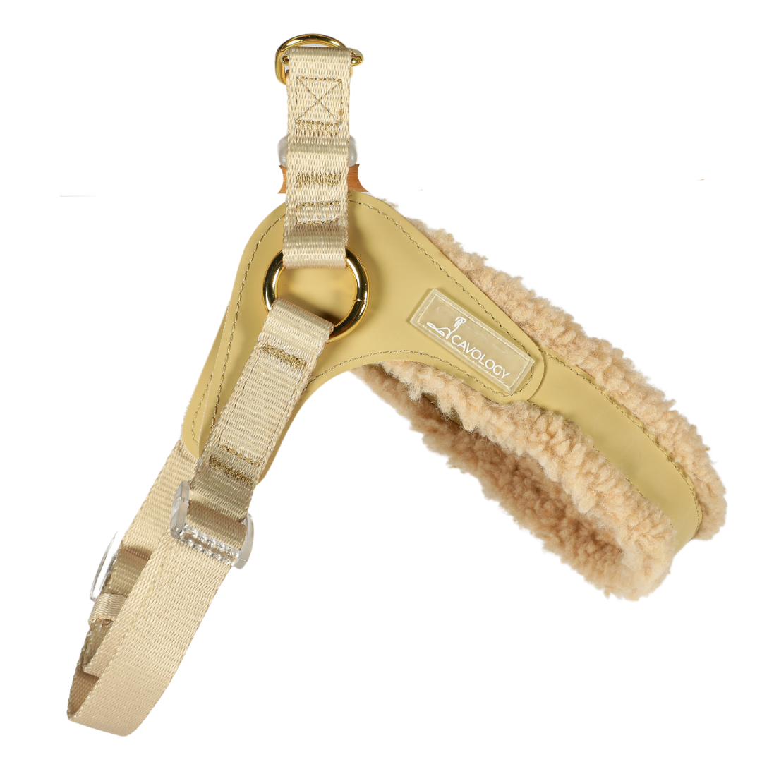 EASY-O STEP IN HARNESS - Beige Gold