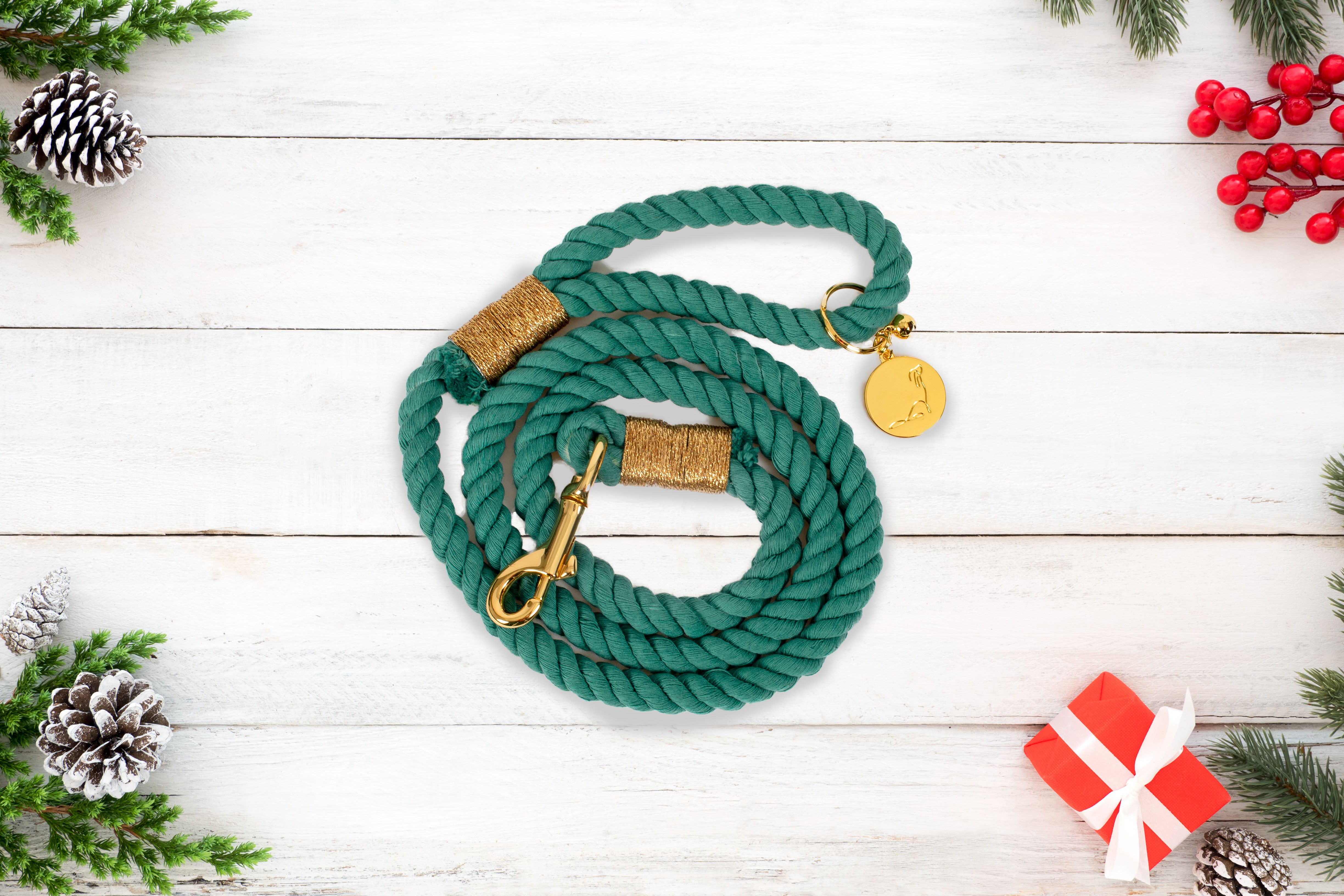 IMPERFECT ROPE LEASH - PEPPERMINT