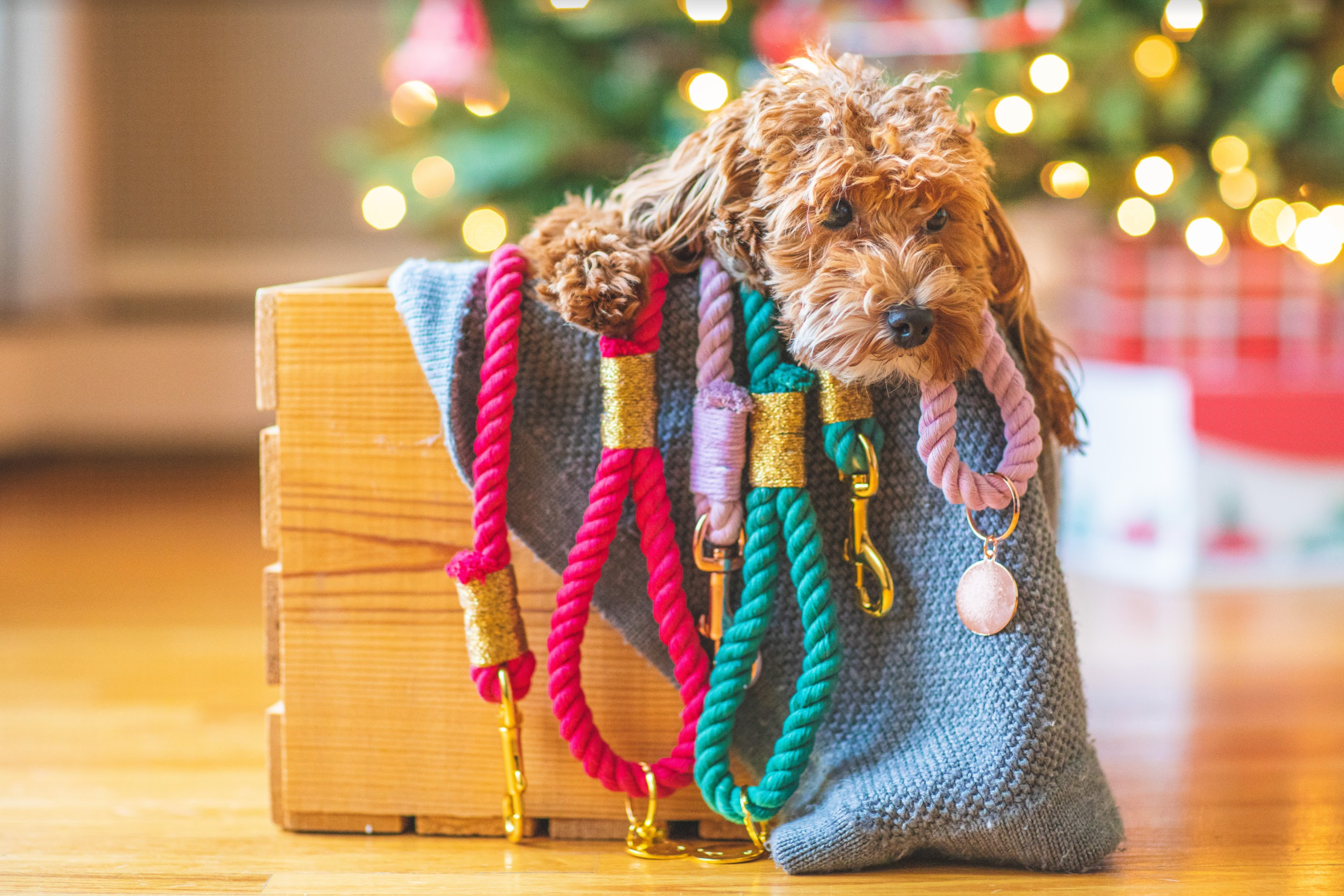 IMPERFECT ROPE LEASH - MISTLETOE