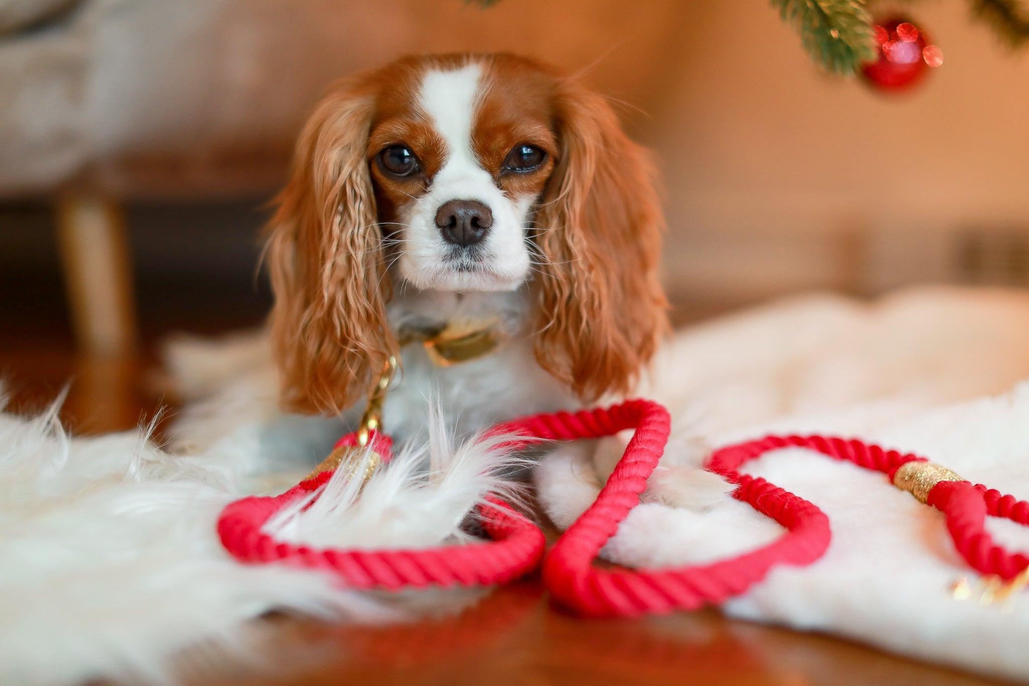 IMPERFECT ROPE LEASH - MISTLETOE