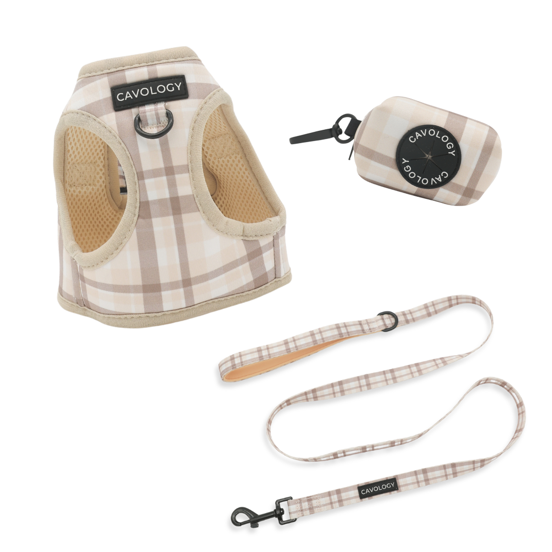 London Fog Cream Plaid Dog Walking Bundle