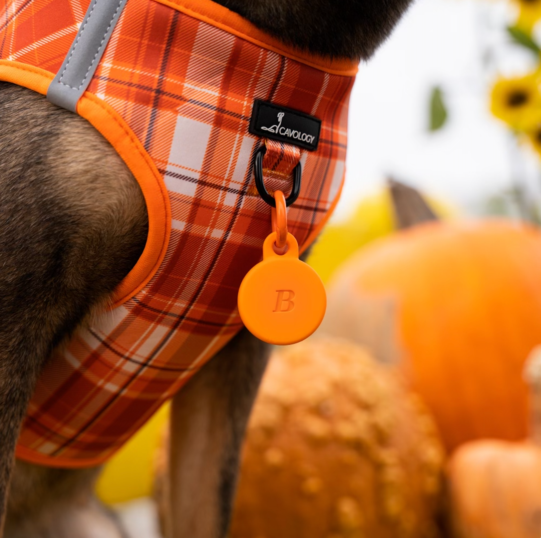 VEST STEP IN HARNESS - ORANGE PLAID Pumpkin Spice