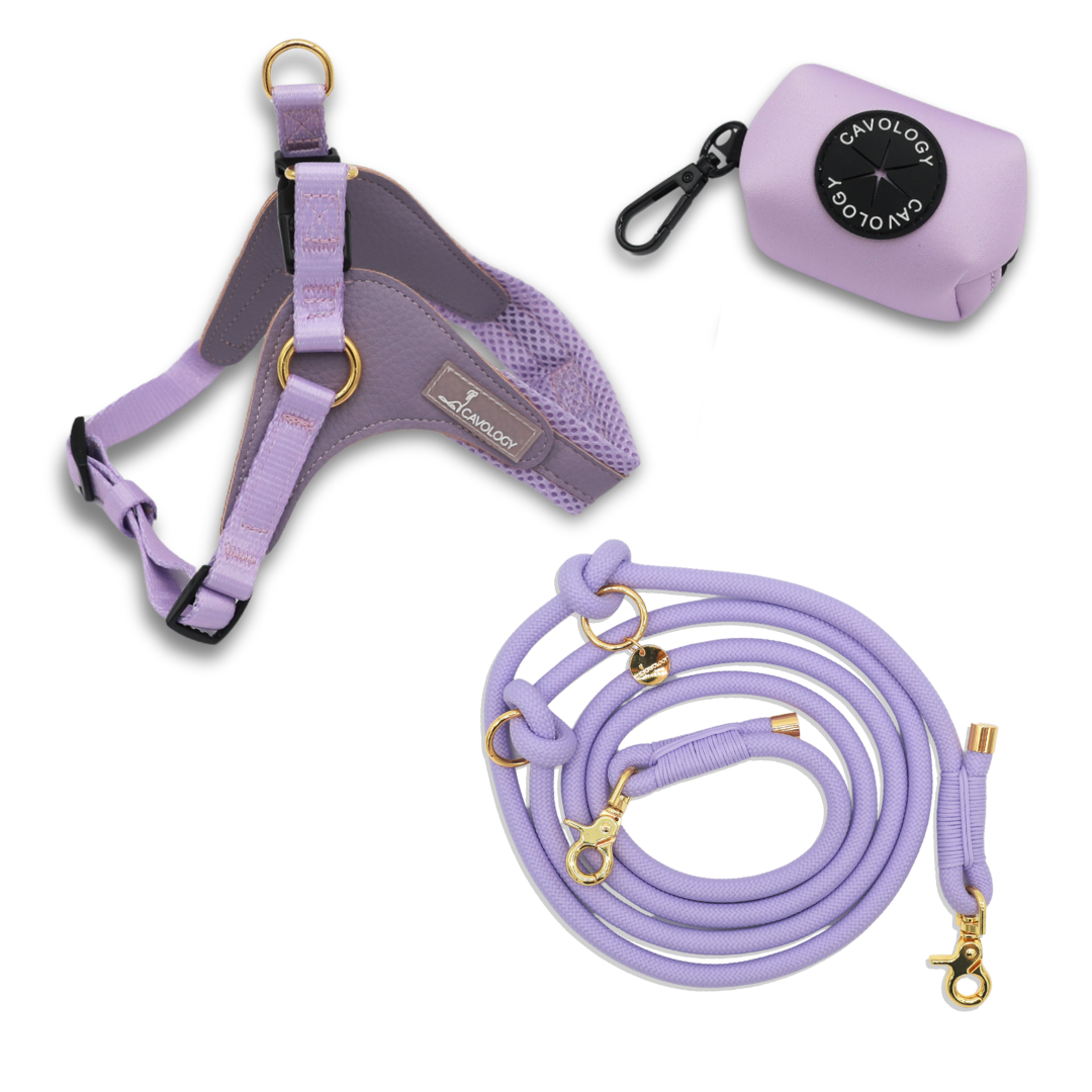 BUNDLE - EASY-O STEP IN HARNESS LAVENDER