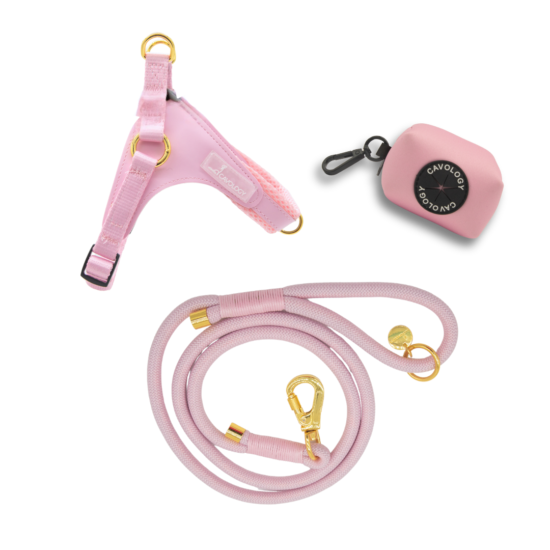 BUNDLE - EASY-O STEP IN HARNESS PINK