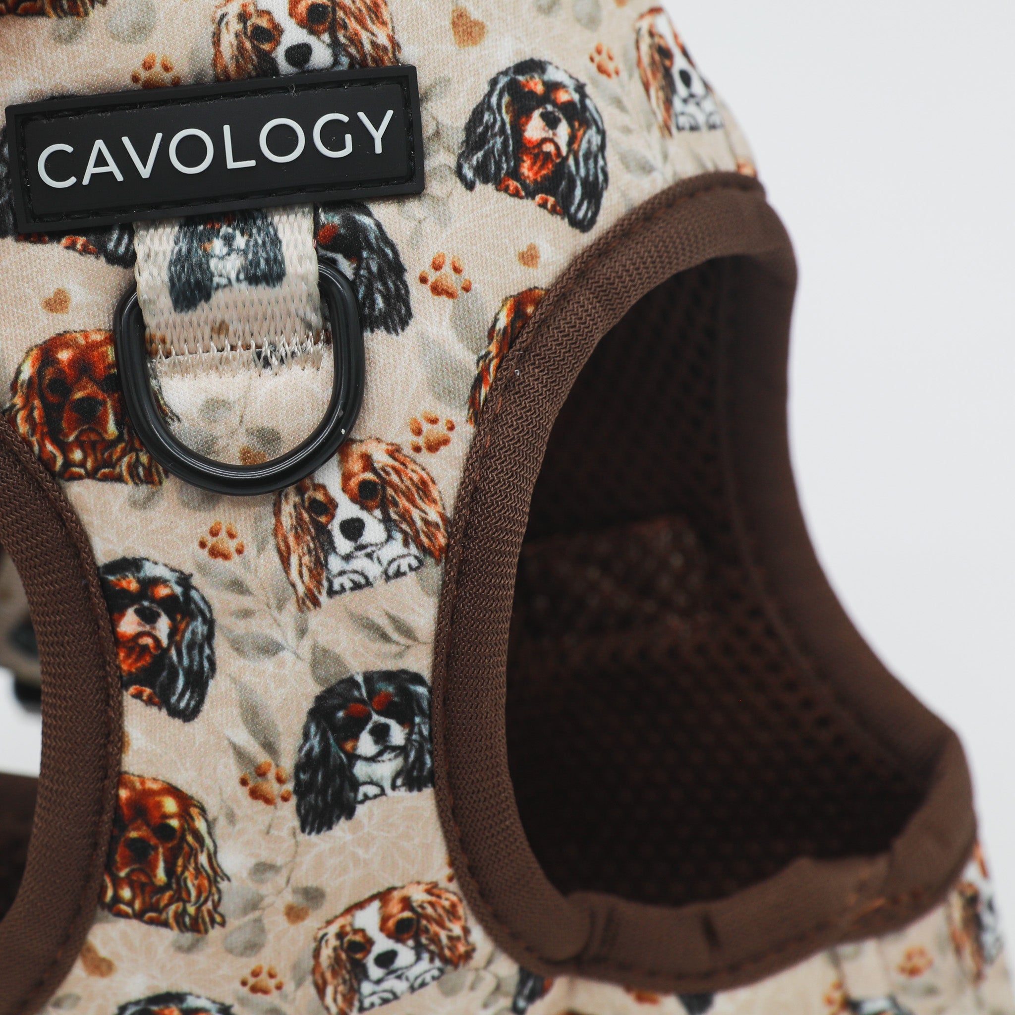 Cavalier King Charles Spaniel Vest Step In Dog Harness