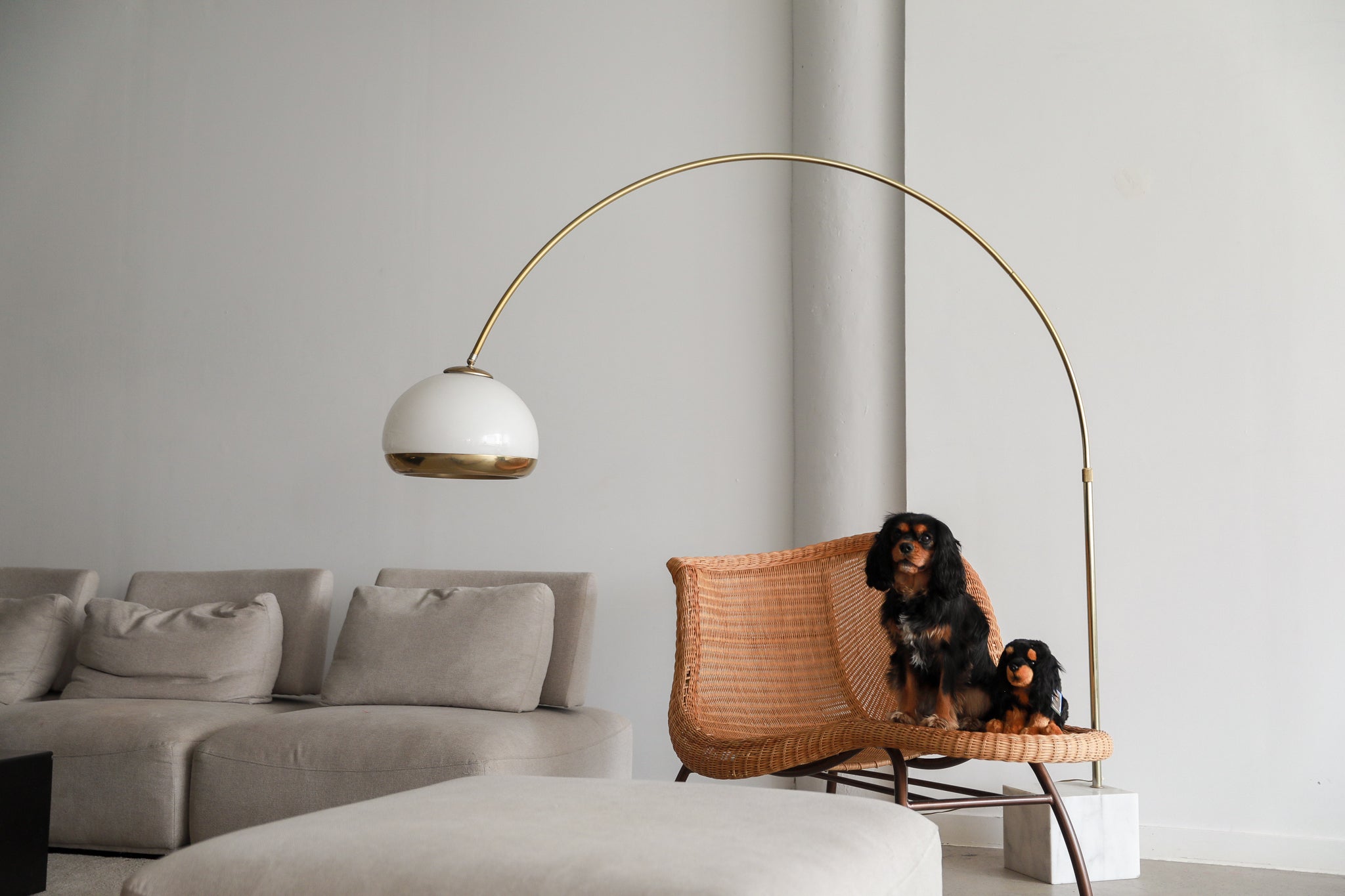 Cavalier King Charles Black & Tan Plush