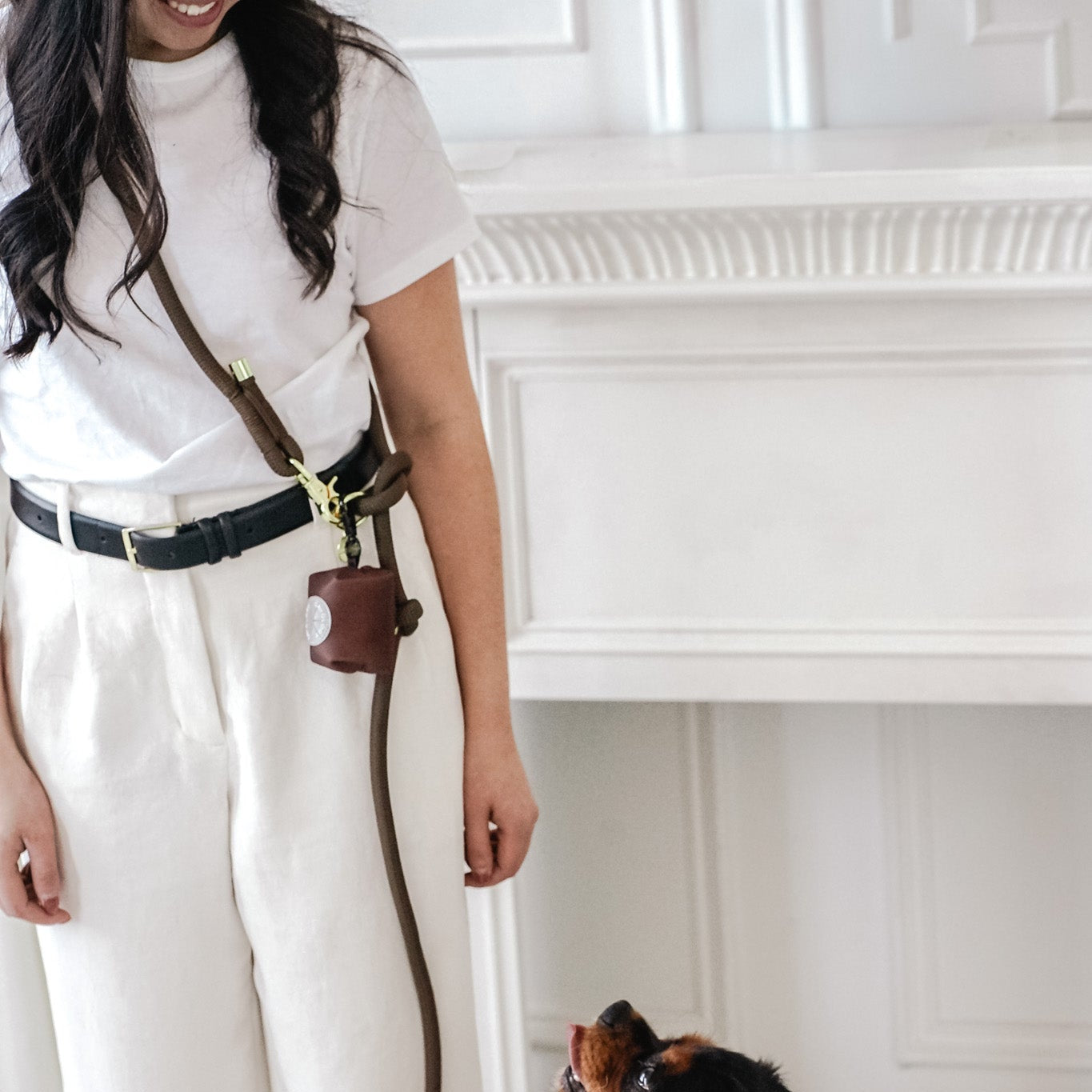 Cavology Easy O dog walking bundle with harness hands free rope leash and waste bag dispenser in chocolate brown