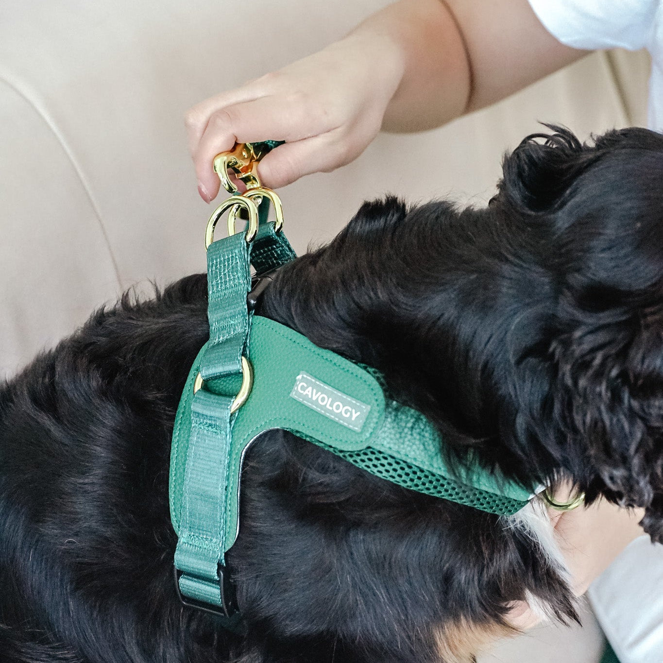 Cavology Easy-O step in harness in forest green