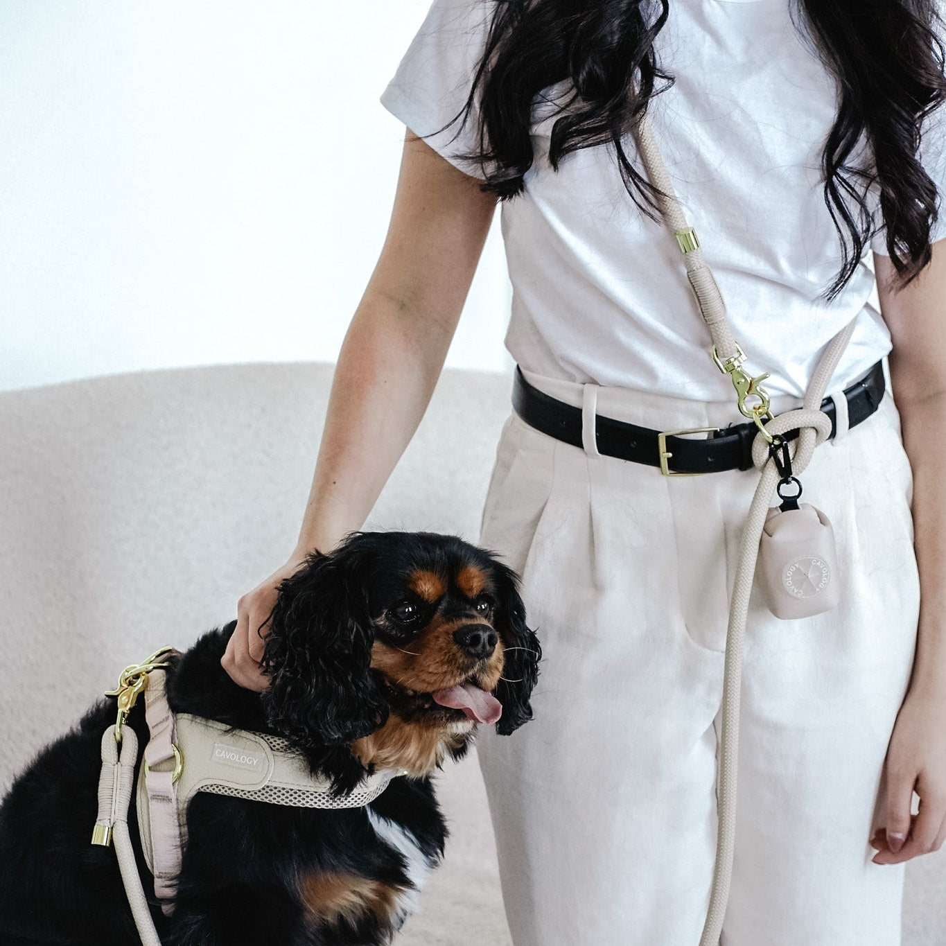 Cavology Easy O dog walking bundle with harness hands free rope leash and waste bag dispenser in vanilla cream