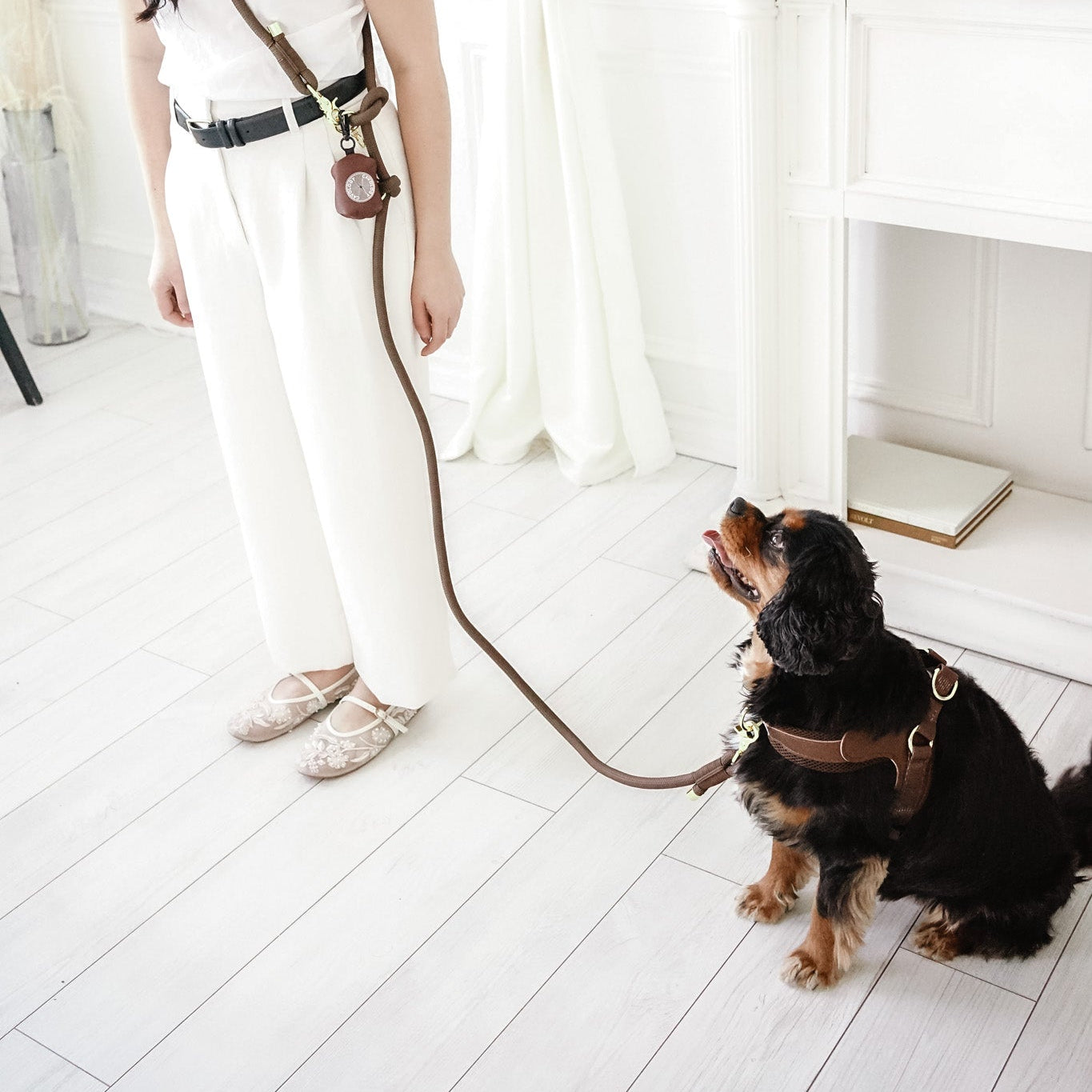 Cavology Easy-O step in harness in chocolate brown