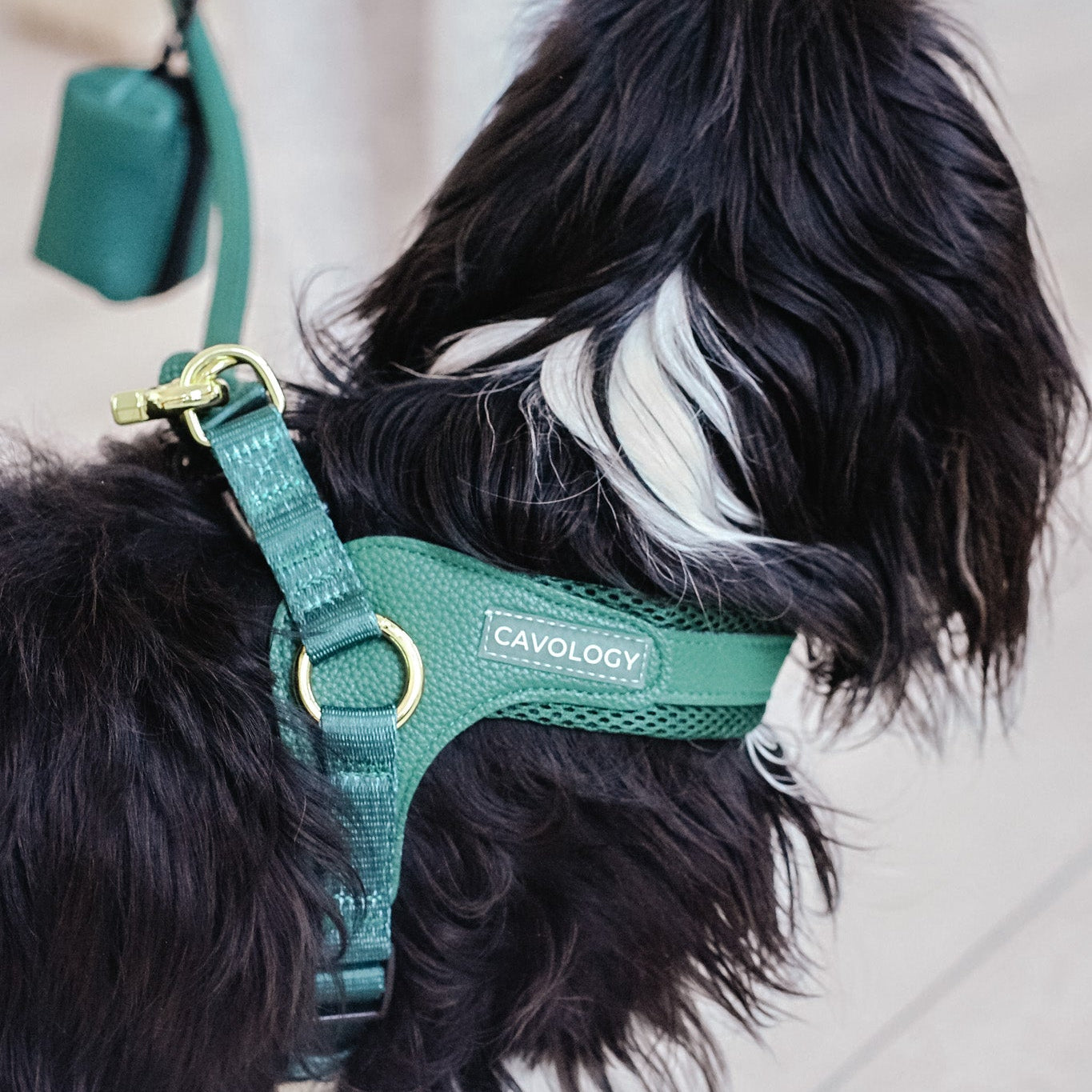 Cavology Easy-O step in harness in forest green