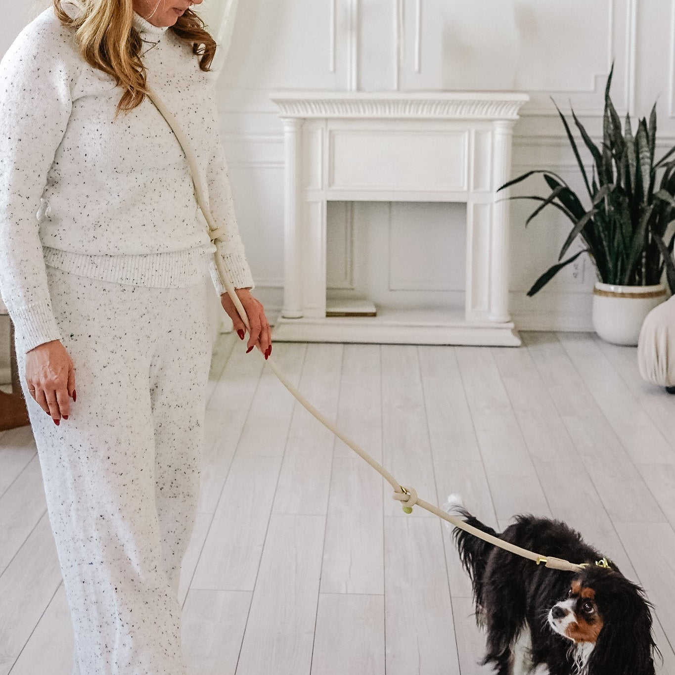 Cavology Easy O dog walking bundle with harness hands free rope leash and waste bag dispenser in vanilla cream