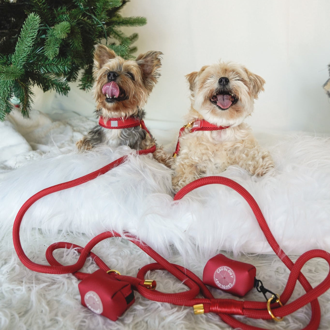 BUNDLE - EASY-O STEP IN HARNESS CHERRY RED