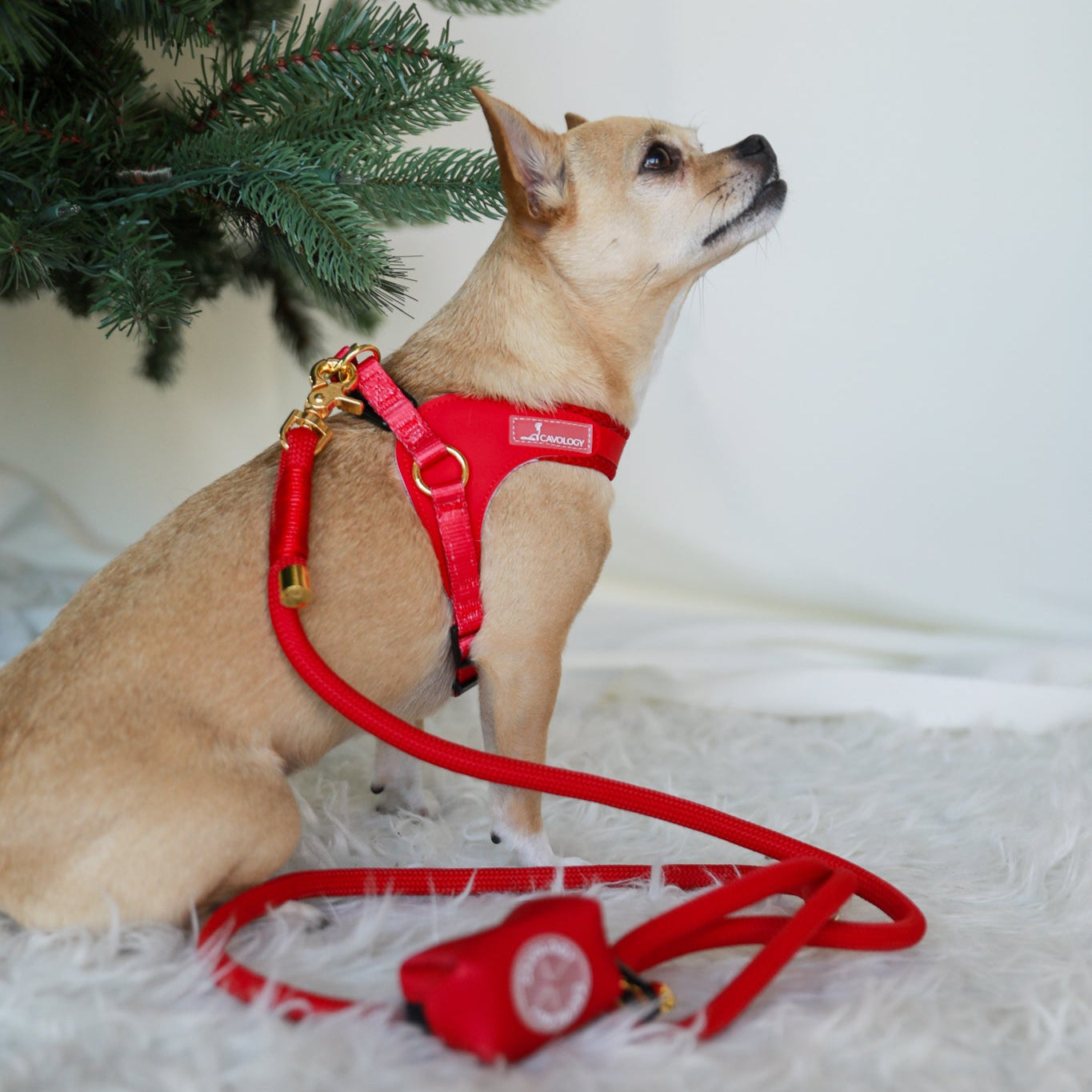 BUNDLE - EASY-O STEP IN HARNESS CHERRY RED