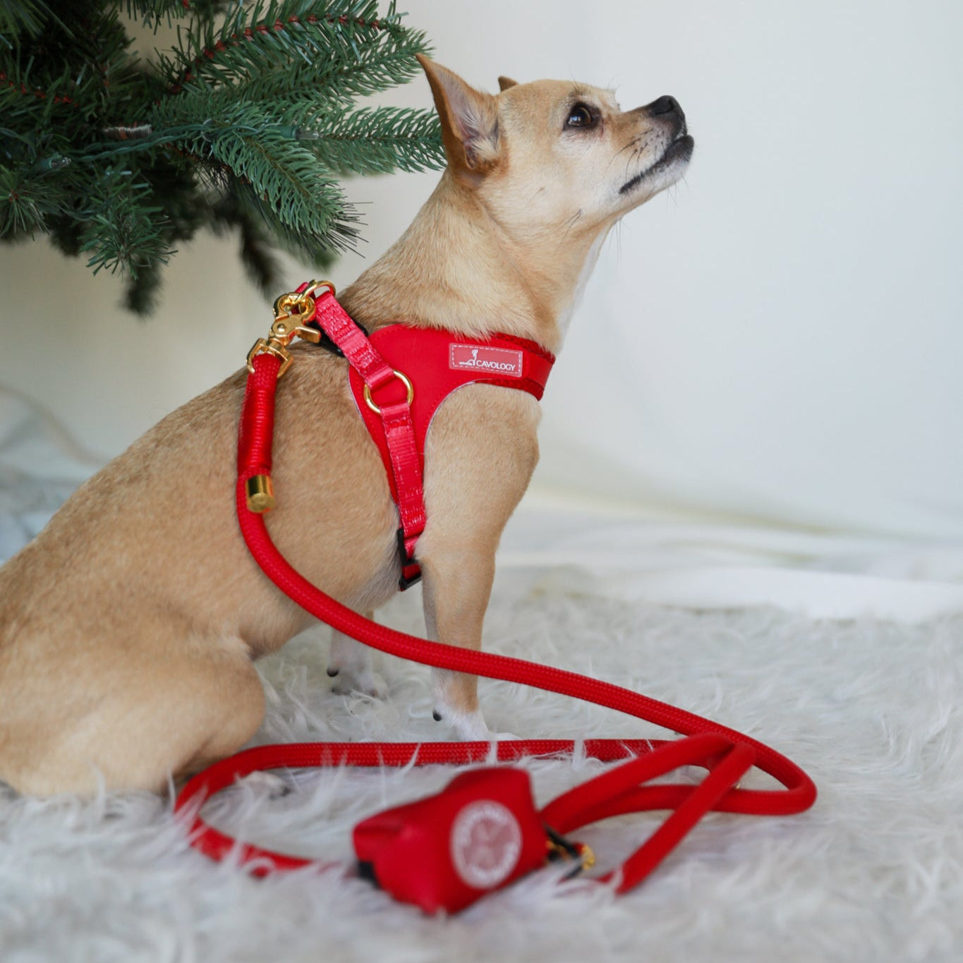 EASY-O STEP IN HARNESS - Cherry Red