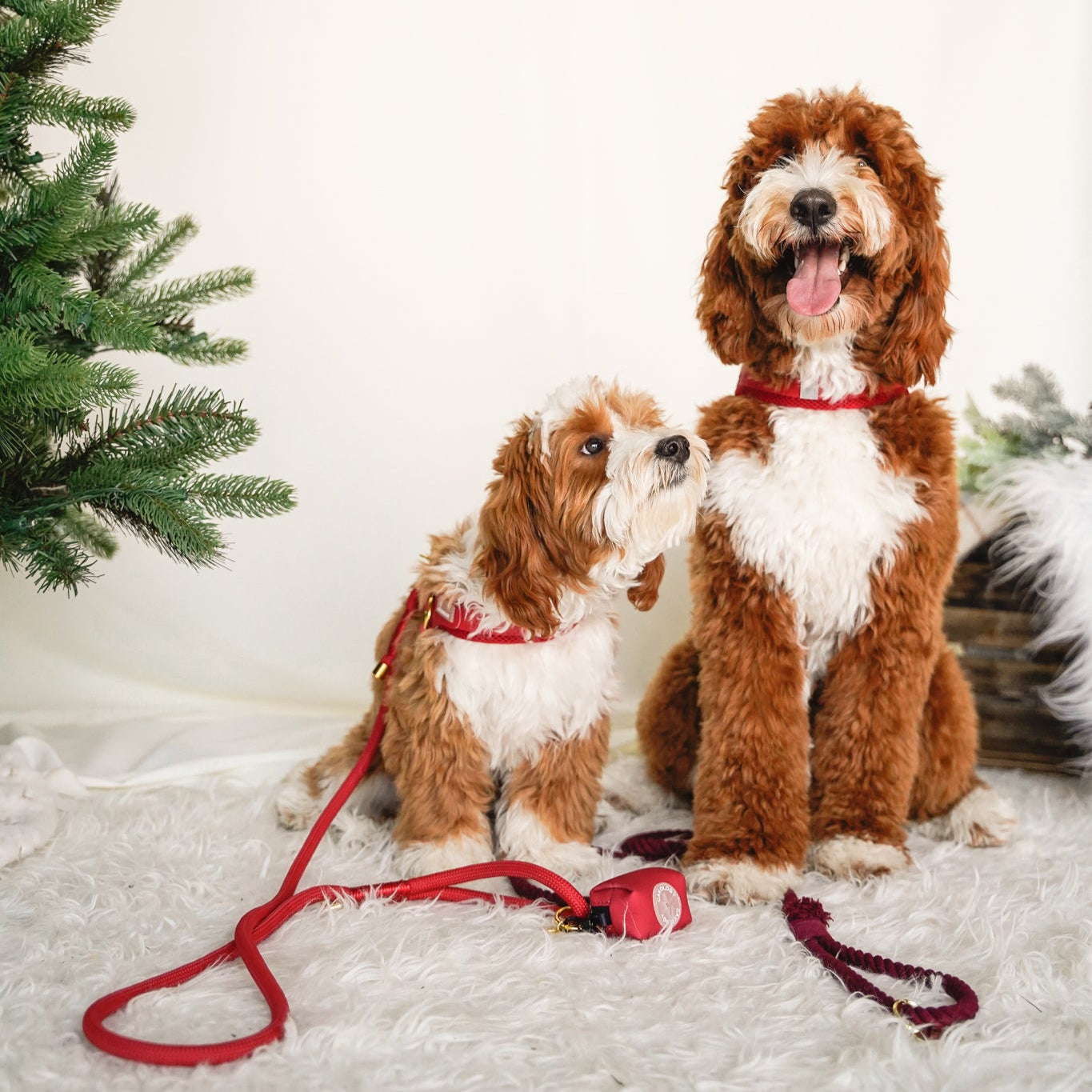 EASY-O STEP IN HARNESS - Cherry Red