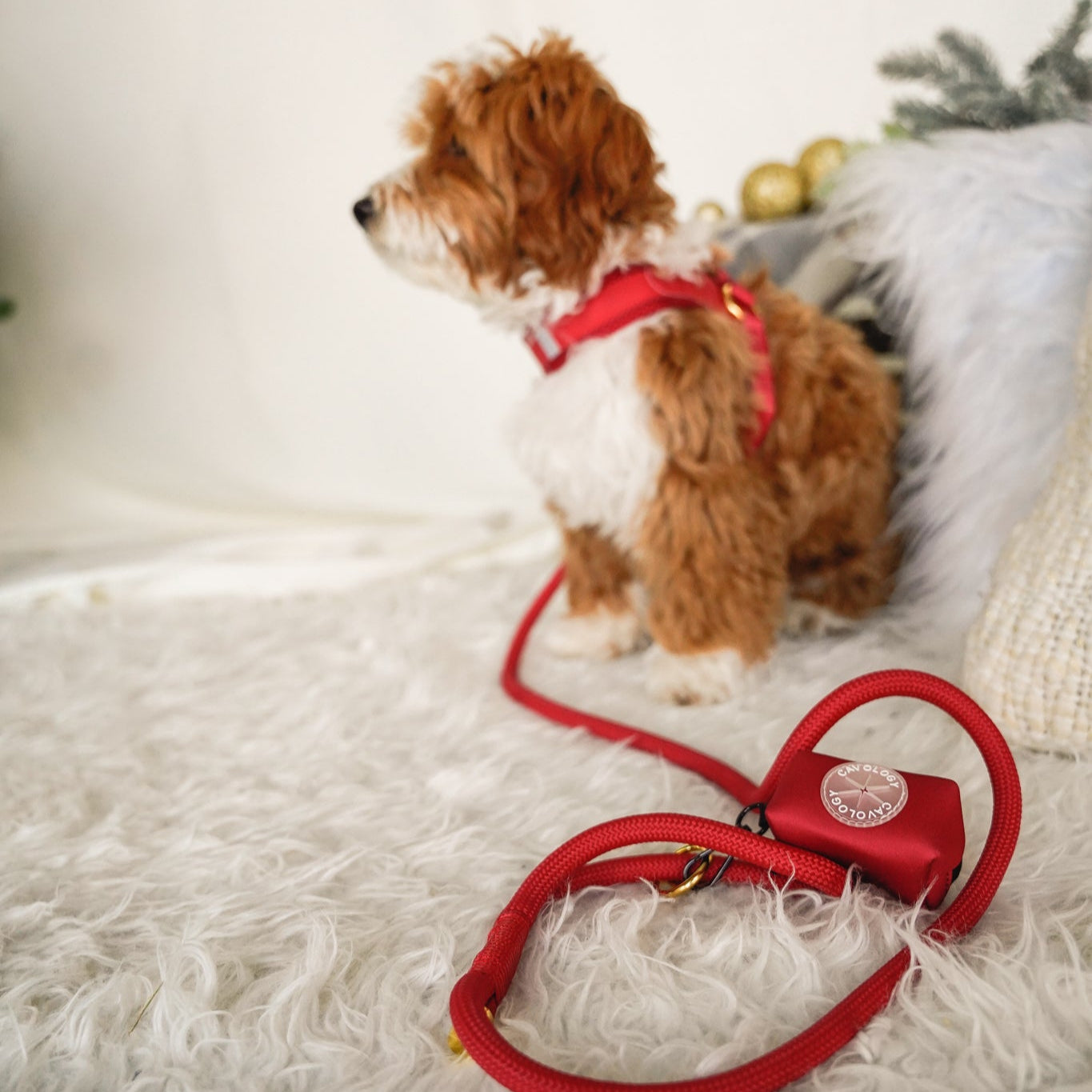 EASY-O STEP IN HARNESS - Cherry Red