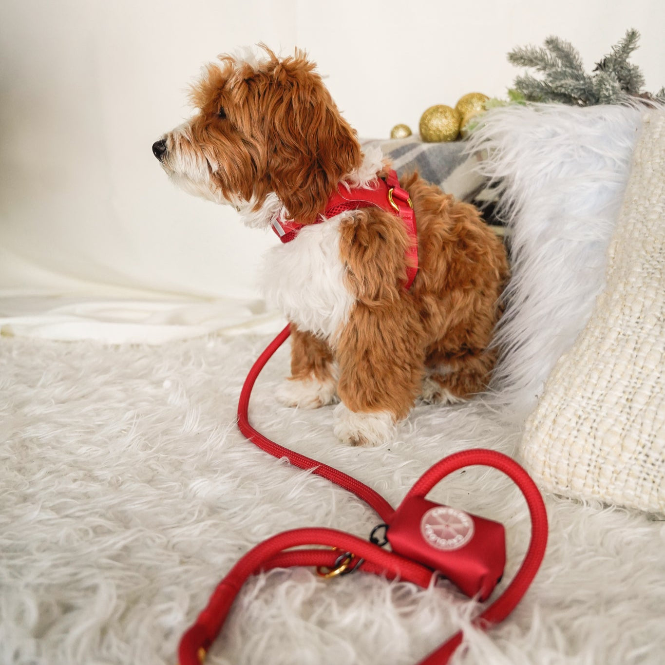 BUNDLE - EASY-O STEP IN HARNESS CHERRY RED