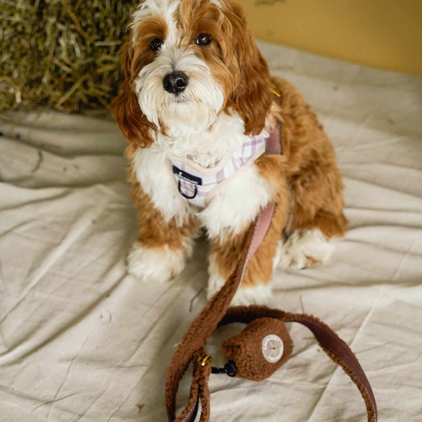WASTE BAG DISPENSER - Brown Sherpa Teddy