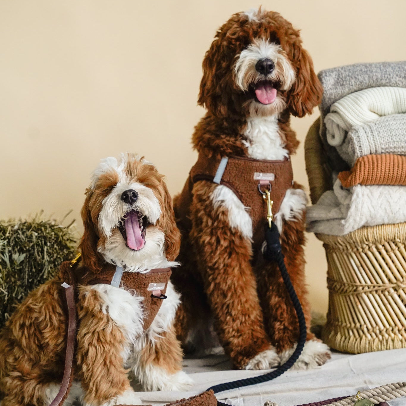 VEST STEP IN HARNESS - BROWN SHERPA TEDDY