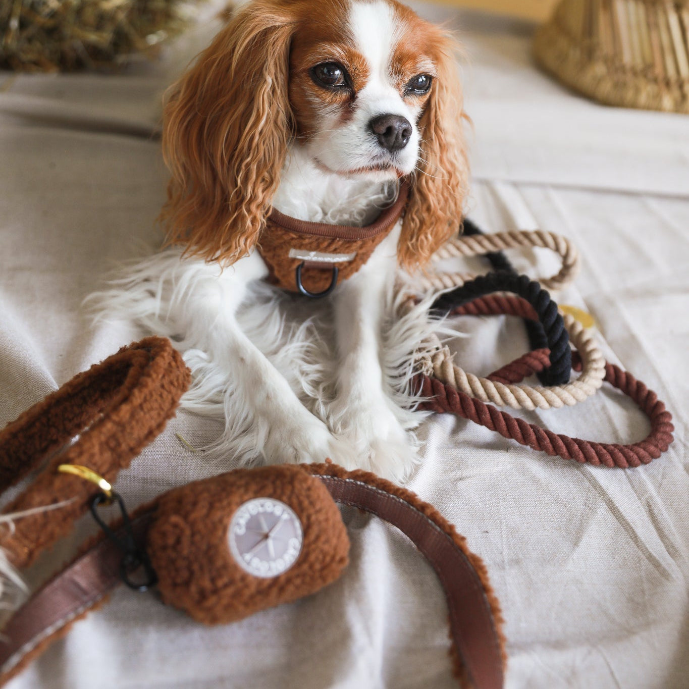 WASTE BAG DISPENSER - Brown Sherpa Teddy