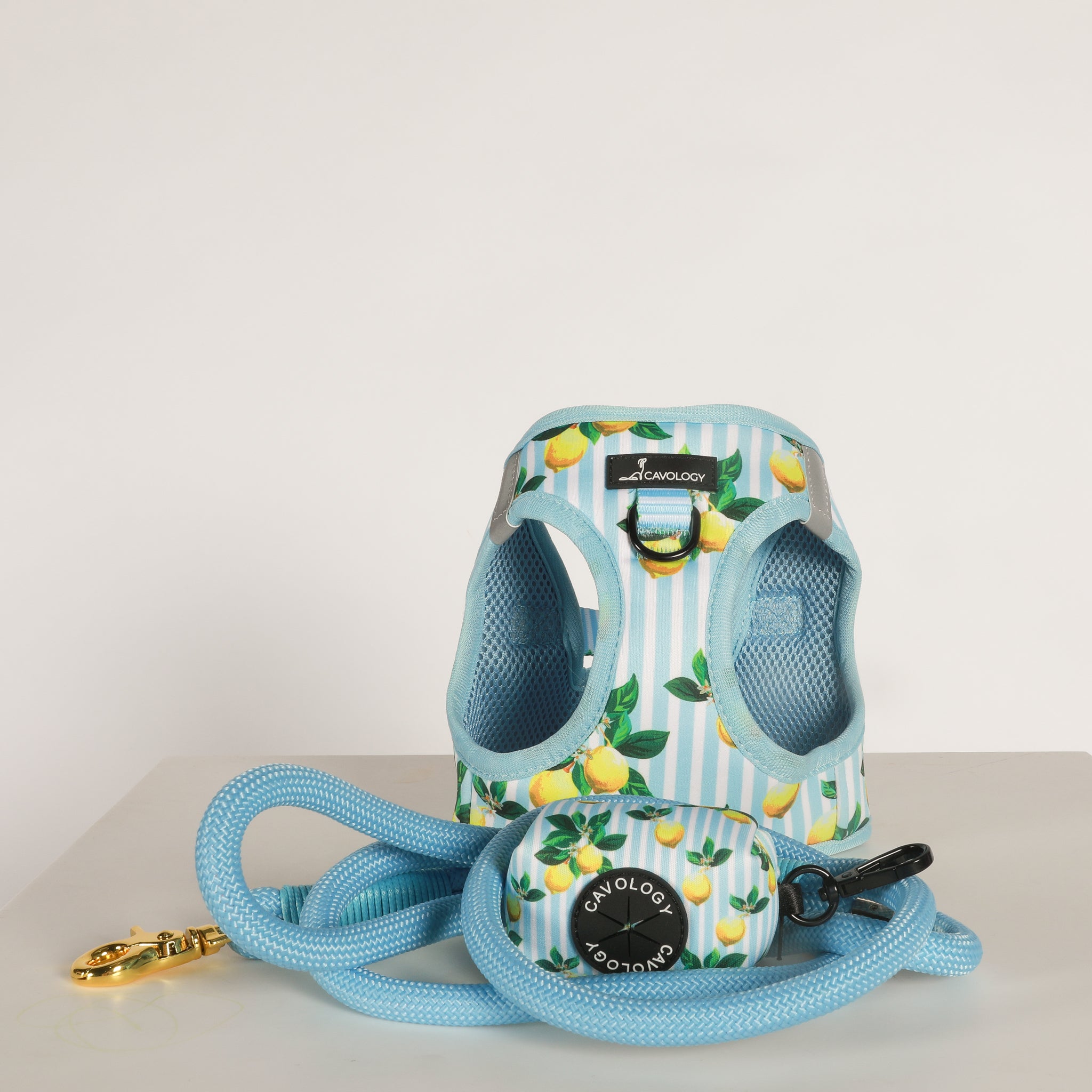 BRAIDED ROPE LEASH - TEAL BLUE