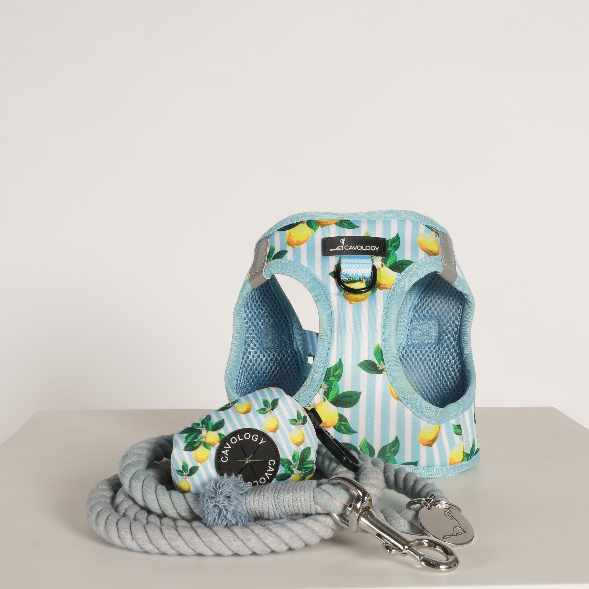ROPE LEASH - Sky Blue