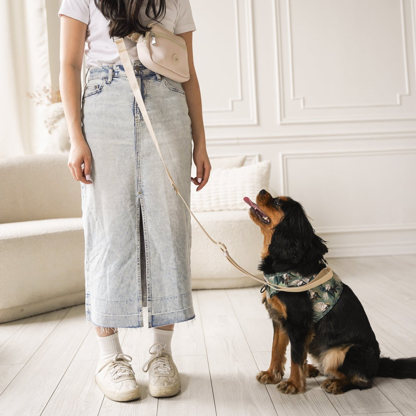 DOG WALKING BAG HANDS FREE 4-in-1 CREAM