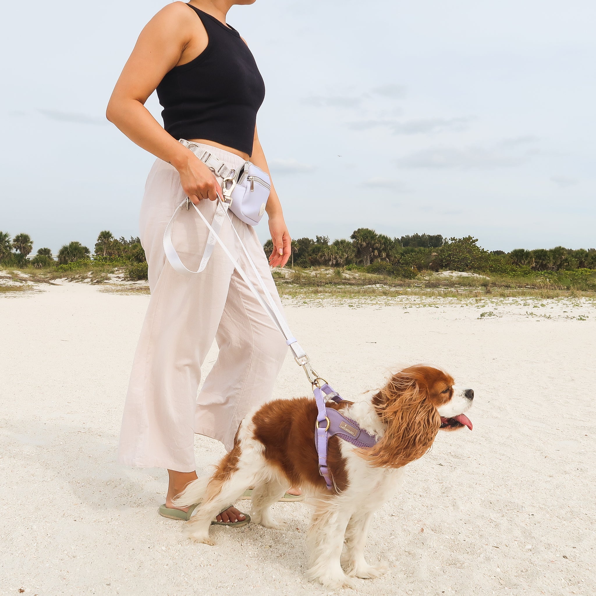 DOG WALKING BAG HANDS FREE 4-in-1 GREY