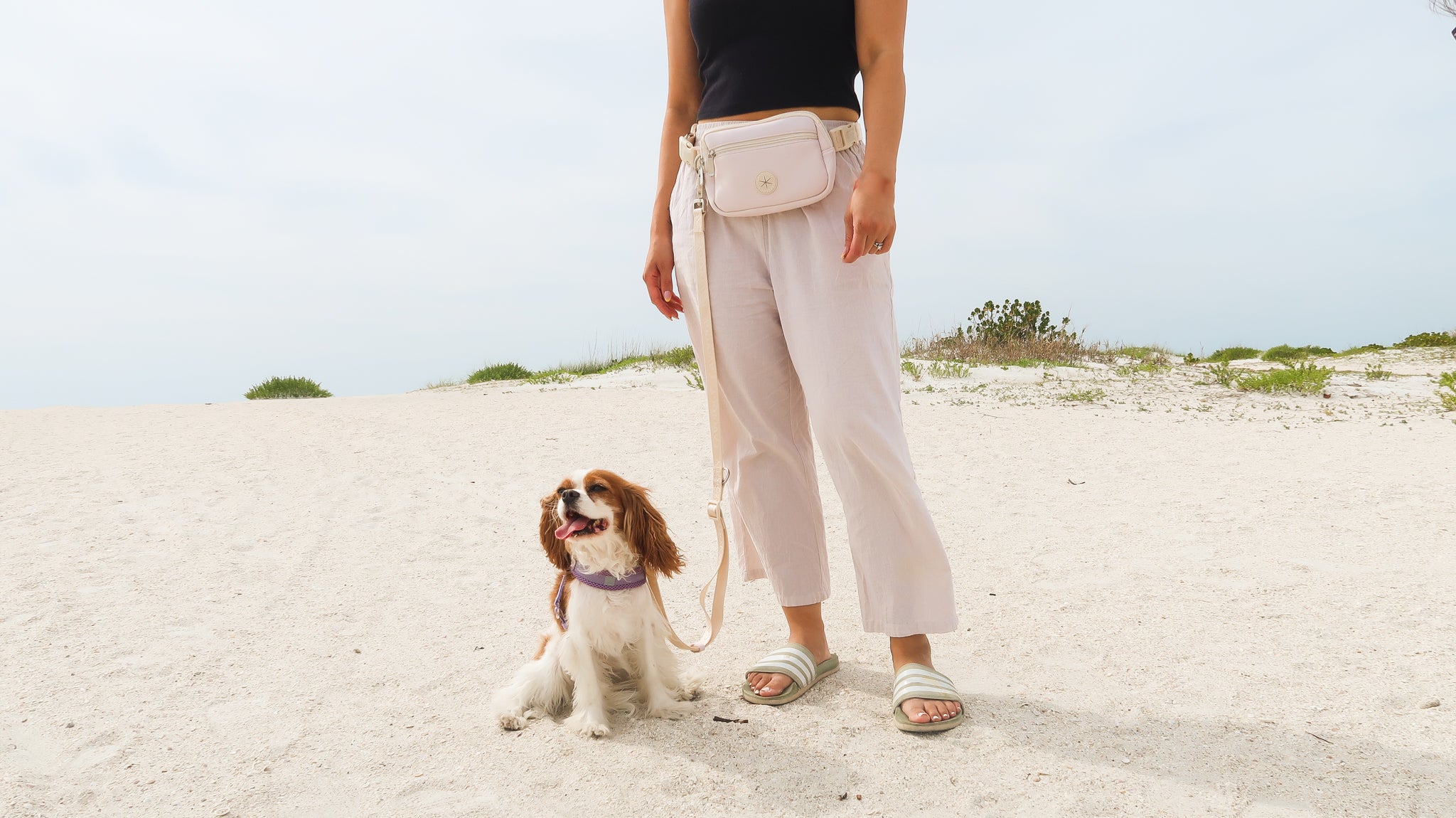 LEASH ATTACHMENT FOR HANDS FREE LEASH CREAM