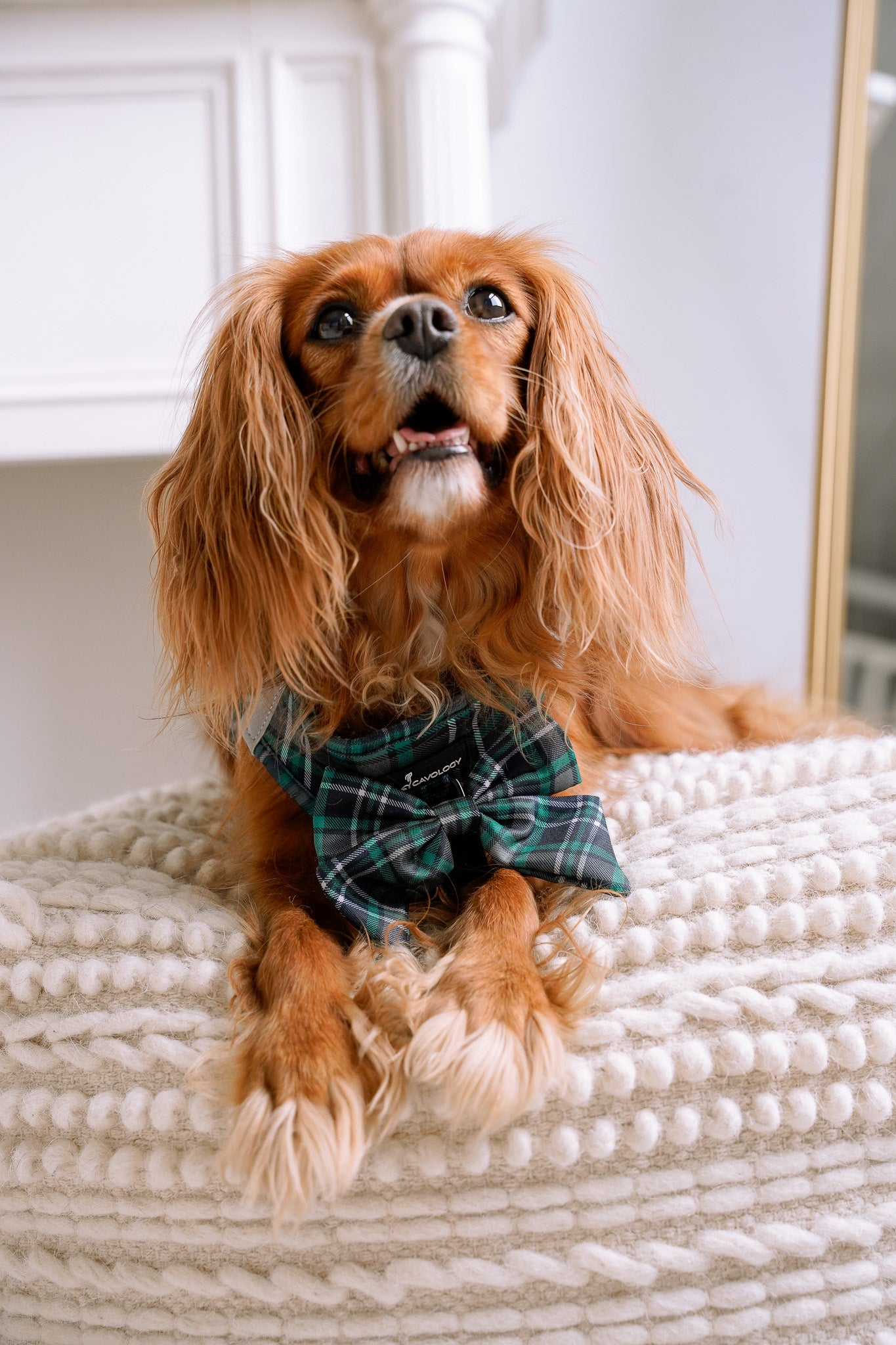 BOW - Peppermint Green Plaid