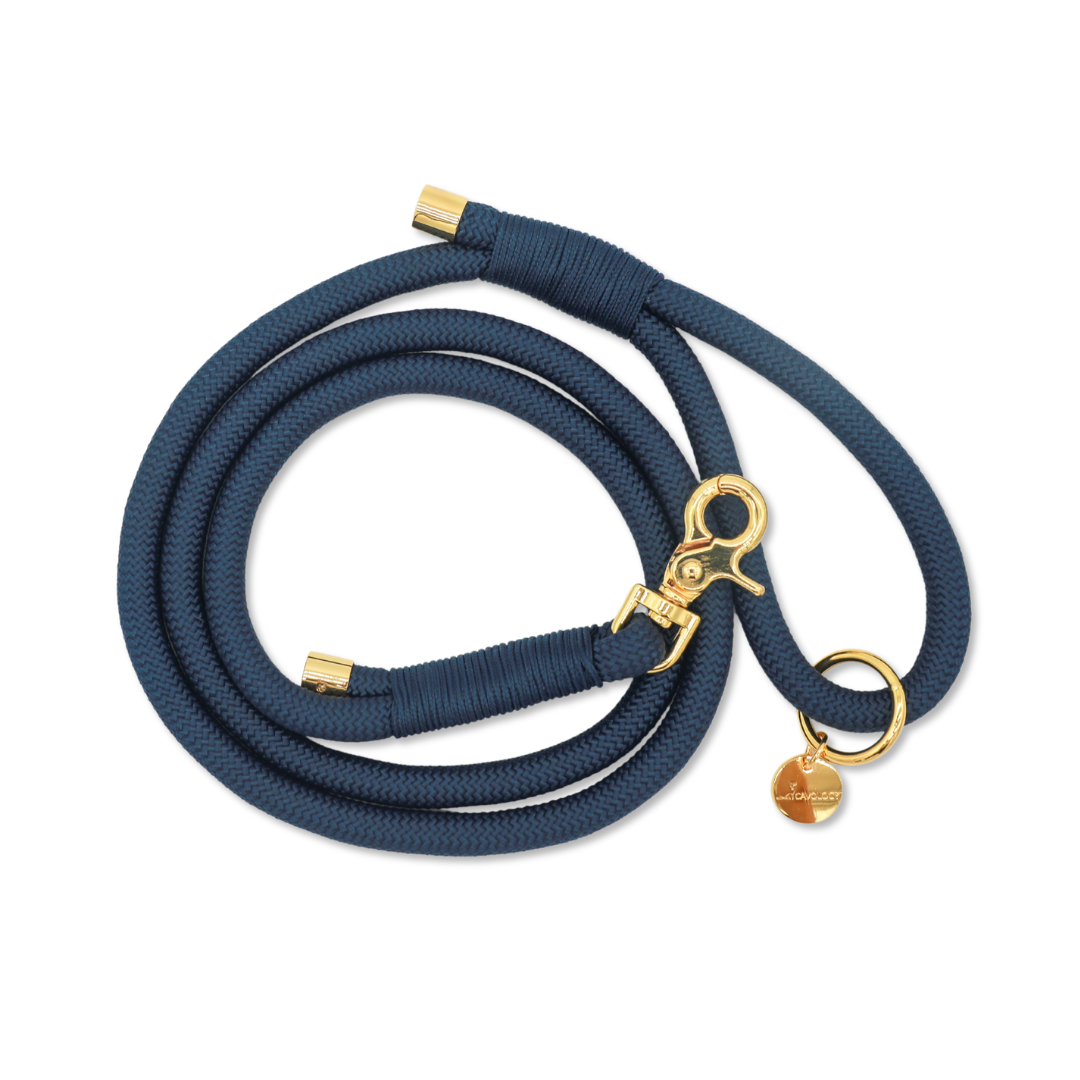 BRAIDED ROPE LEASH - Denim Blue