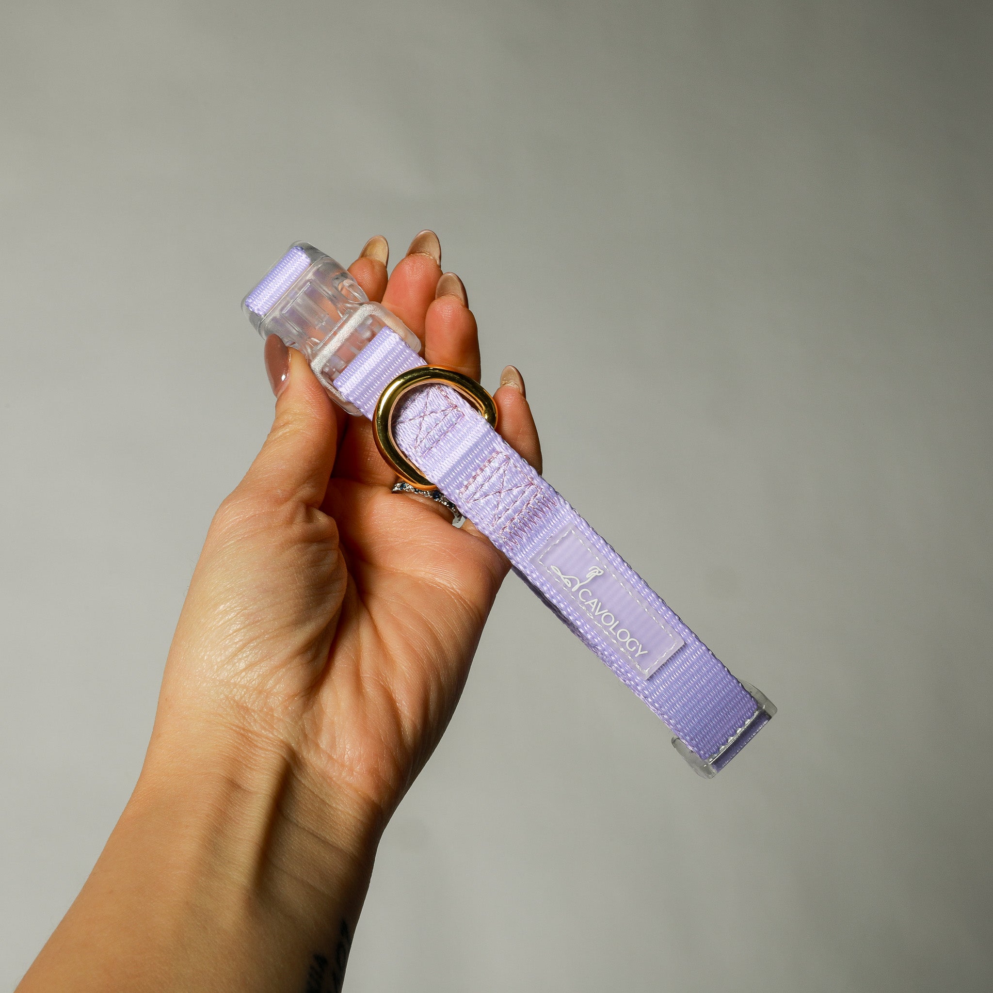 COLLAR - EVERYDAY PURPLE