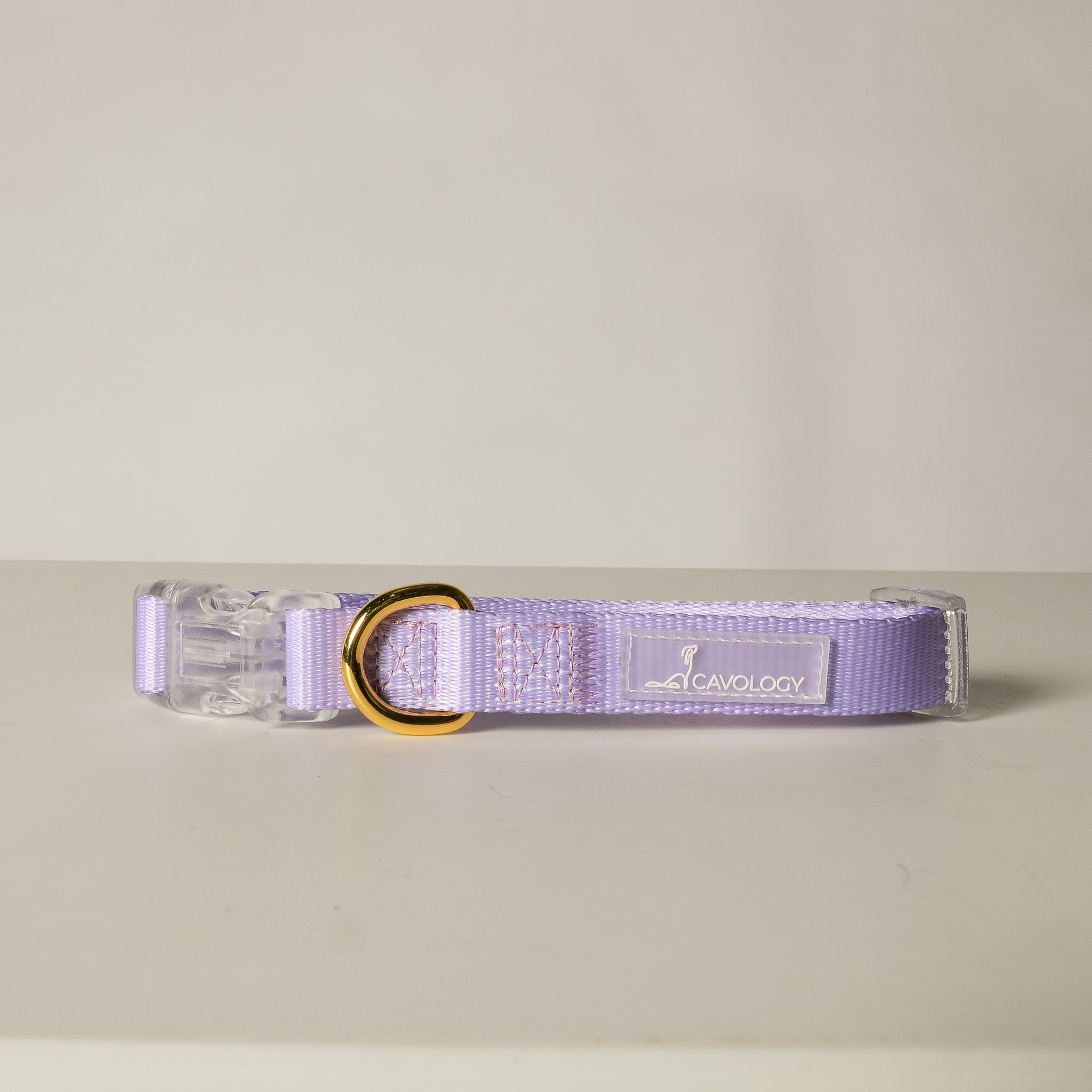COLLAR - EVERYDAY PURPLE