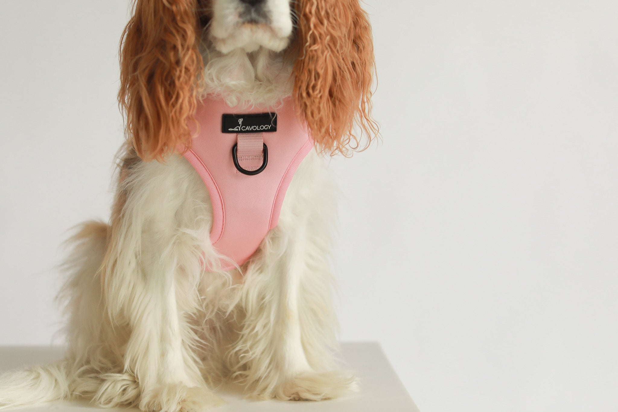 ADJUSTABLE HARNESS - Peach Bellini