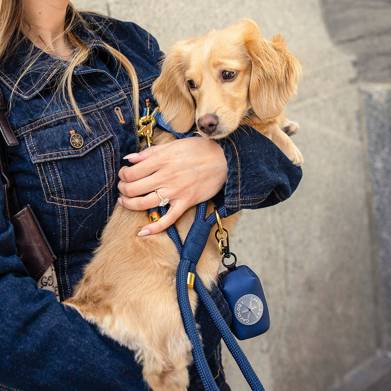 WASTE BAG DISPENSER - Denim Blue