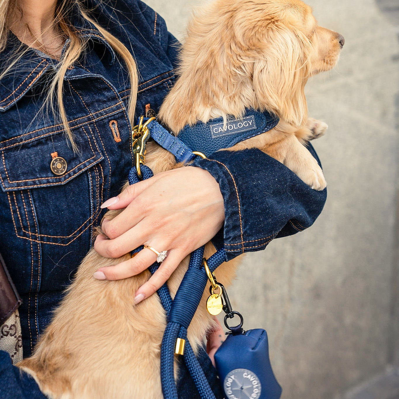 BUNDLE - EASY-O STEP IN HARNESS Denim Blue