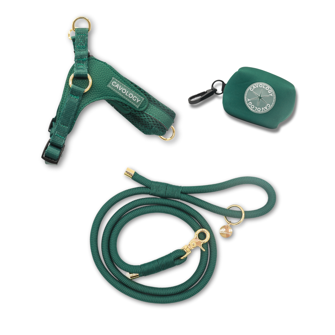 Cavology Easy O dog walking bundle with harness rope leash and waste bag dispenser in forest green