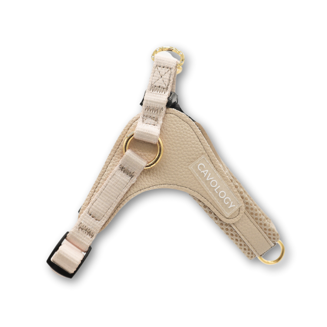 HANDS FREE BUNDLE - EASY-O STEP IN HARNESS VANILLA CREAM