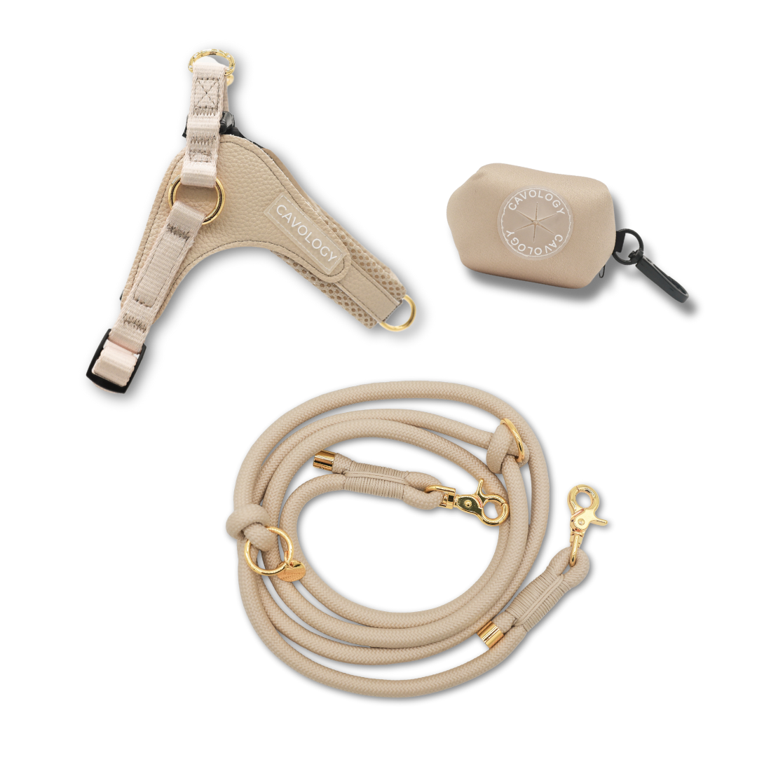 Cavology Easy O dog walking bundle with harness hands free rope leash and waste bag dispenser in vanilla cream