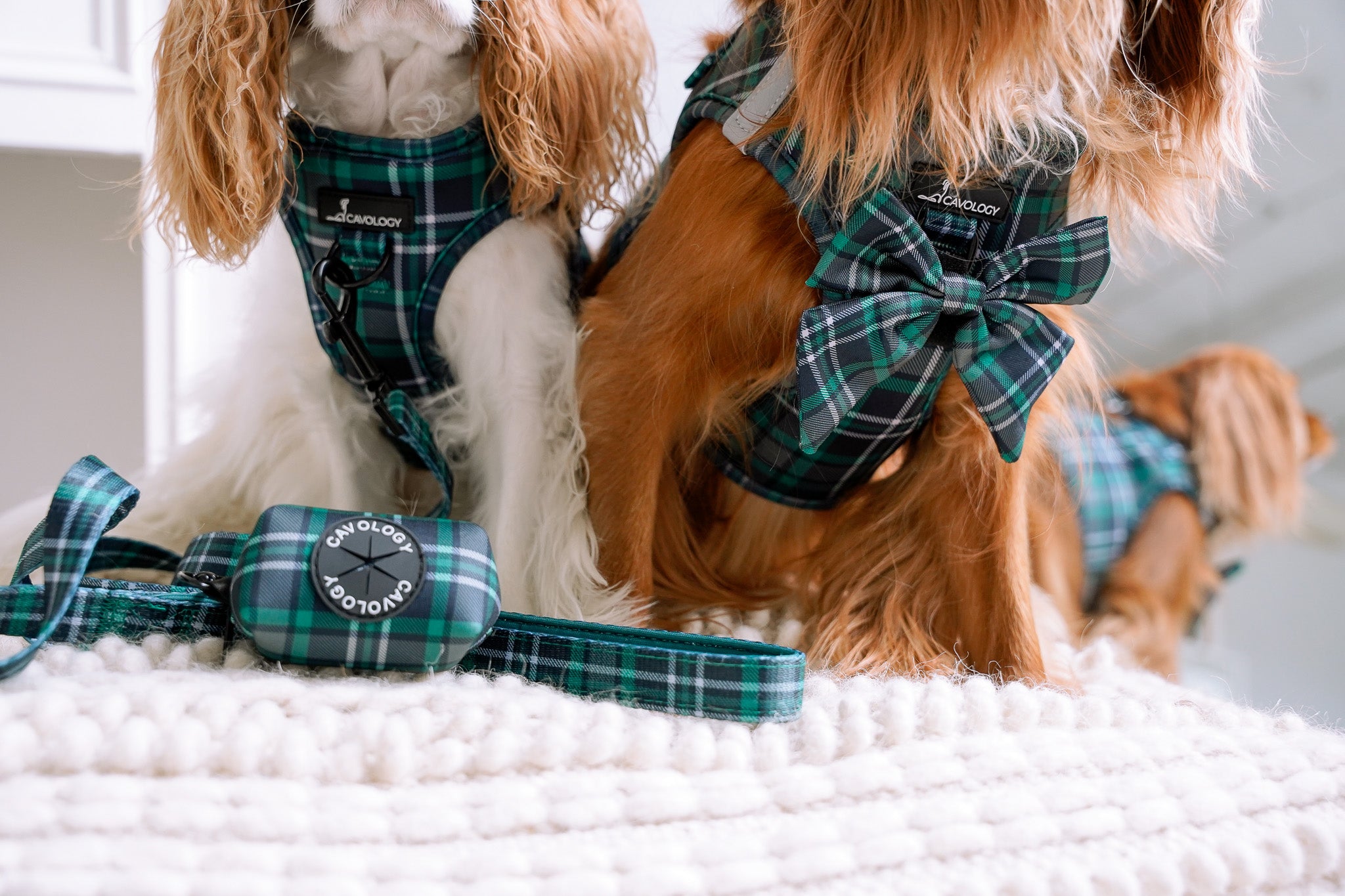 LEASH - Green Tartan Plaid Peppermint