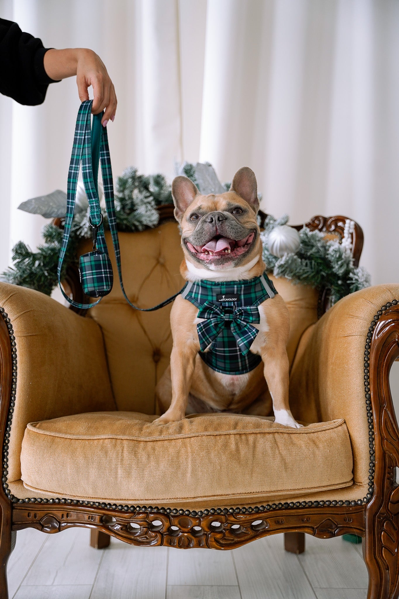 WASTE BAG DISPENSER - Green Plaid Tartan Peppermint